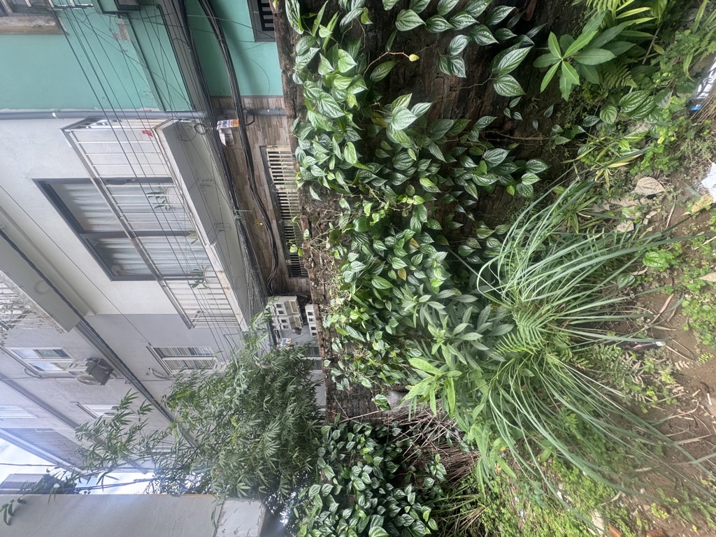 Bán nhà Thanh Lân - diện tích 142m2 0 tầng - Đất - giá 25,2 tỷ