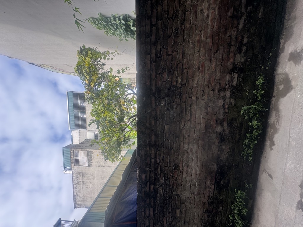 Bán nhà Thanh Lân - diện tích 142m2 0 tầng - Đất - giá 25,2 tỷ