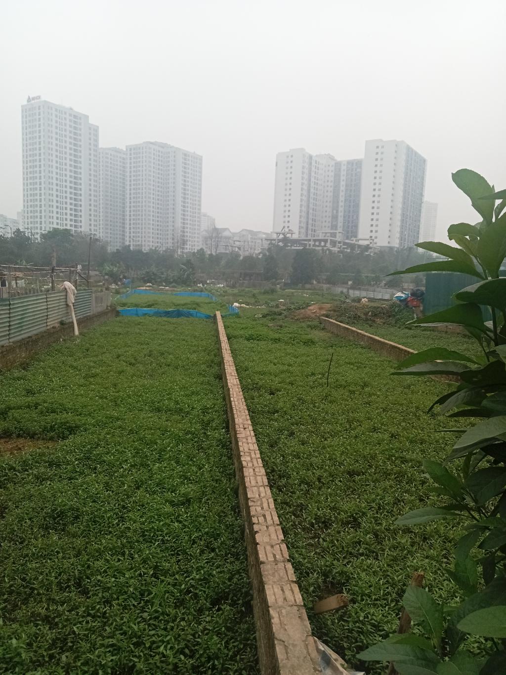 Bán nhà Định Công Hạ - diện tích 150m2 1 tầng - Nhà không sổ mua bán vi bằng - giá 1,8 tỷ