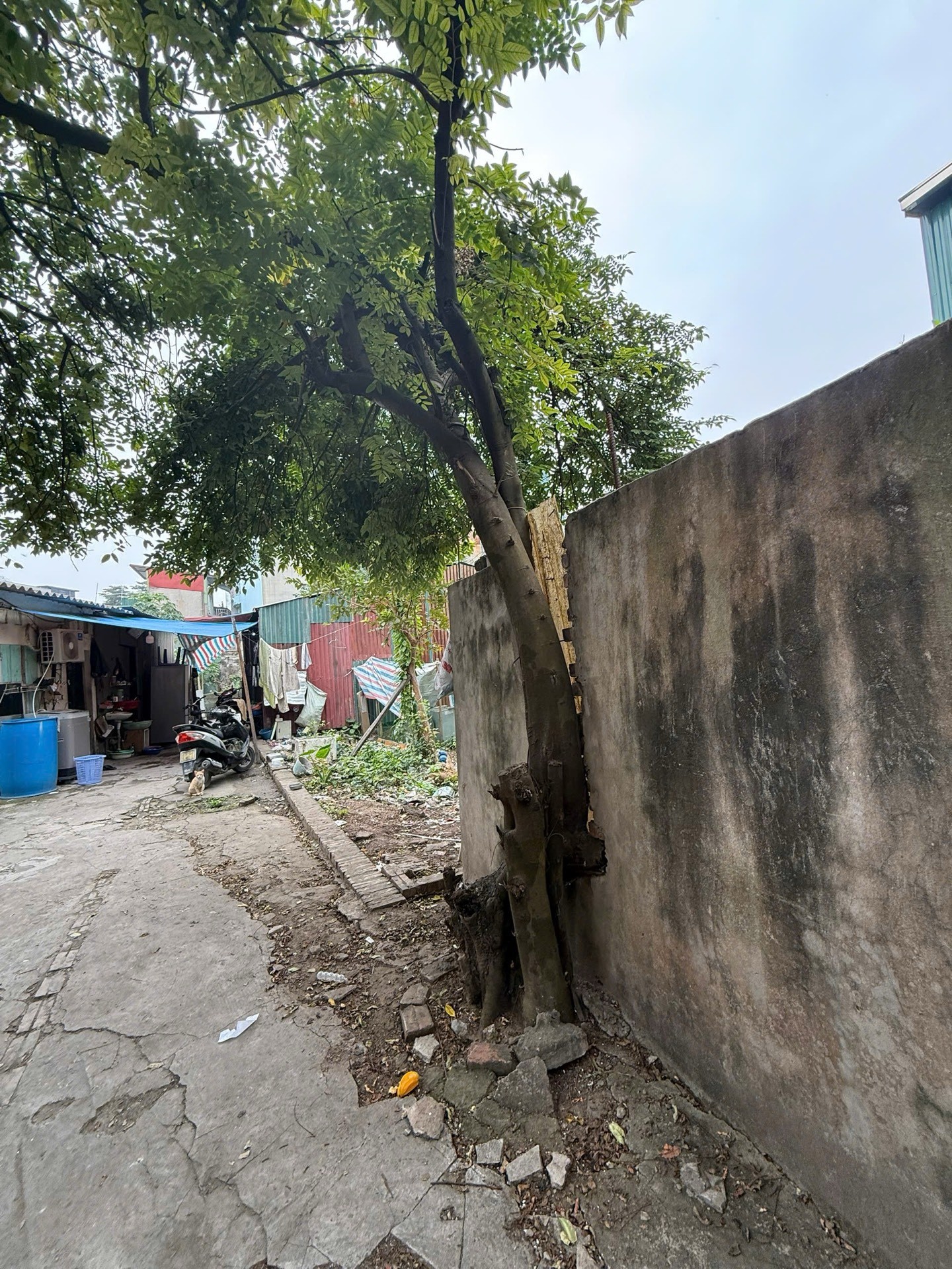 Bán nhà Hoàng Mai - diện tích 125m2 1 tầng - hiếm - giá 22,5 tỷ