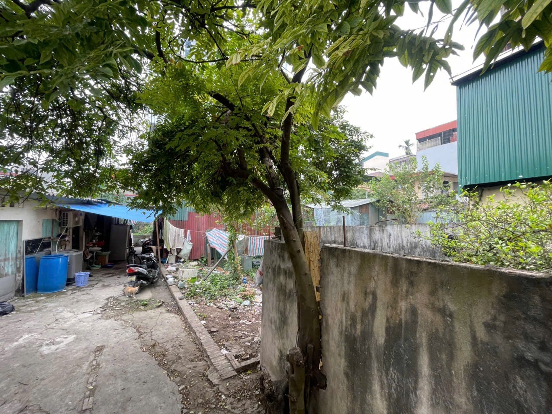 Bán nhà Hoàng Mai - diện tích 125m2 1 tầng - hiếm - giá 22,5 tỷ
