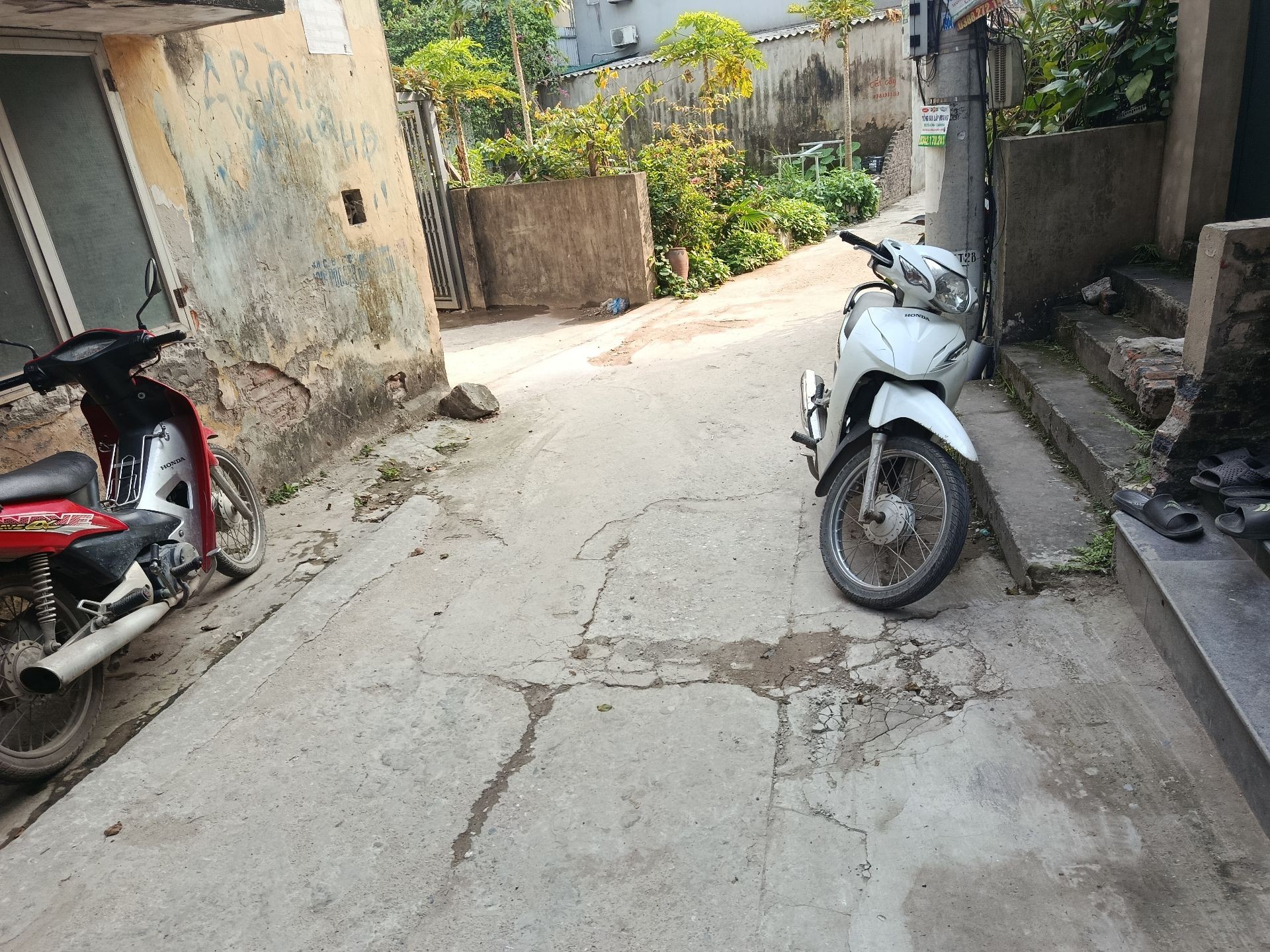 Ảnh đại diện
