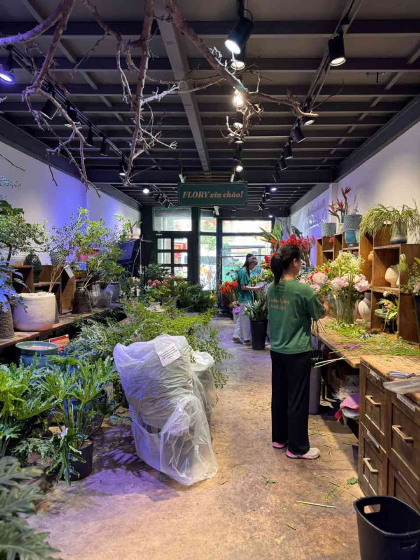 Ảnh đại diện