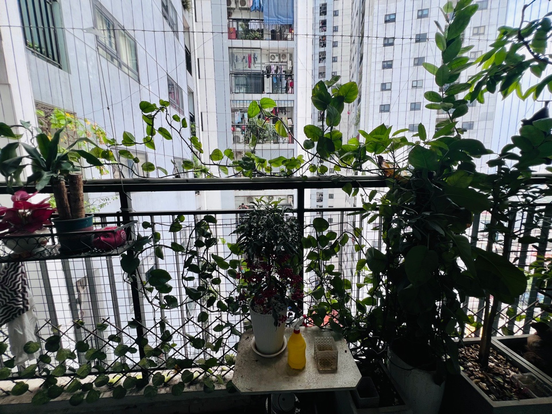 Bán căn hộ A15-11 Toà A CC Hateco Hoàng Mai - diện tích 90m2 1 tầng - Lô góc nhiều ánh sáng - giá 7 tỷ