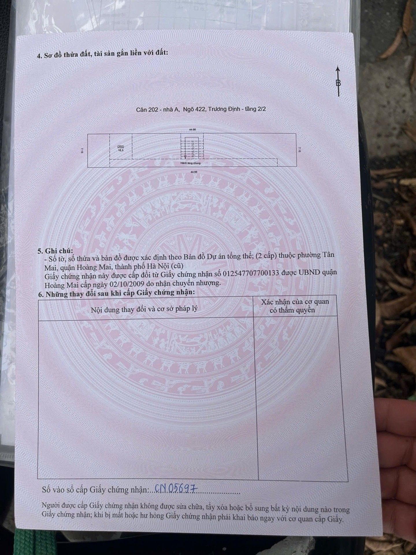 Ảnh đại diện