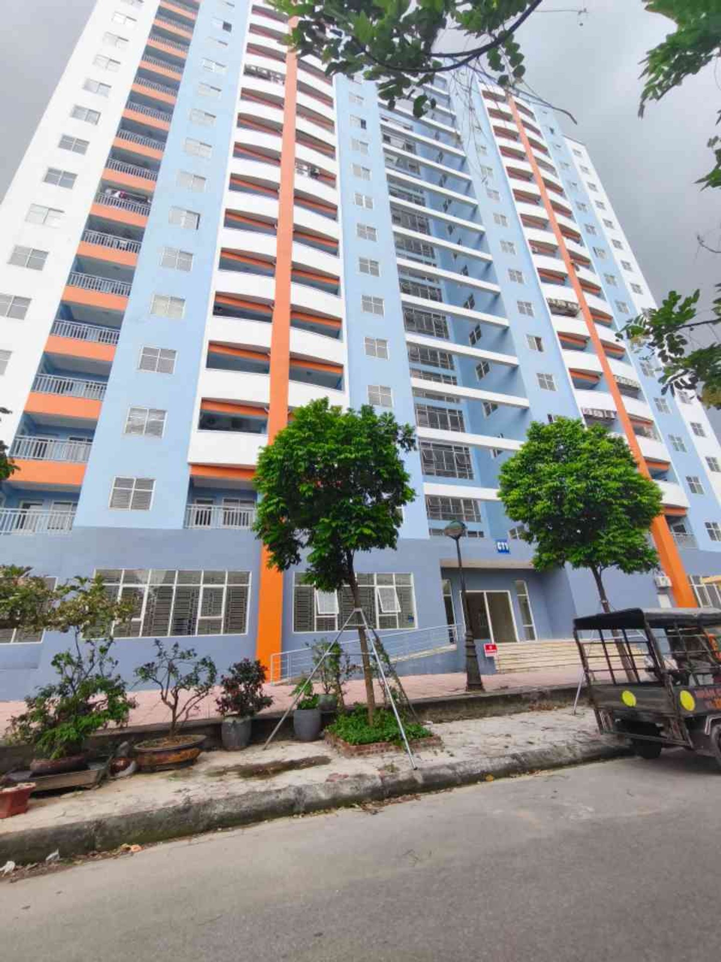 Ảnh đại diện