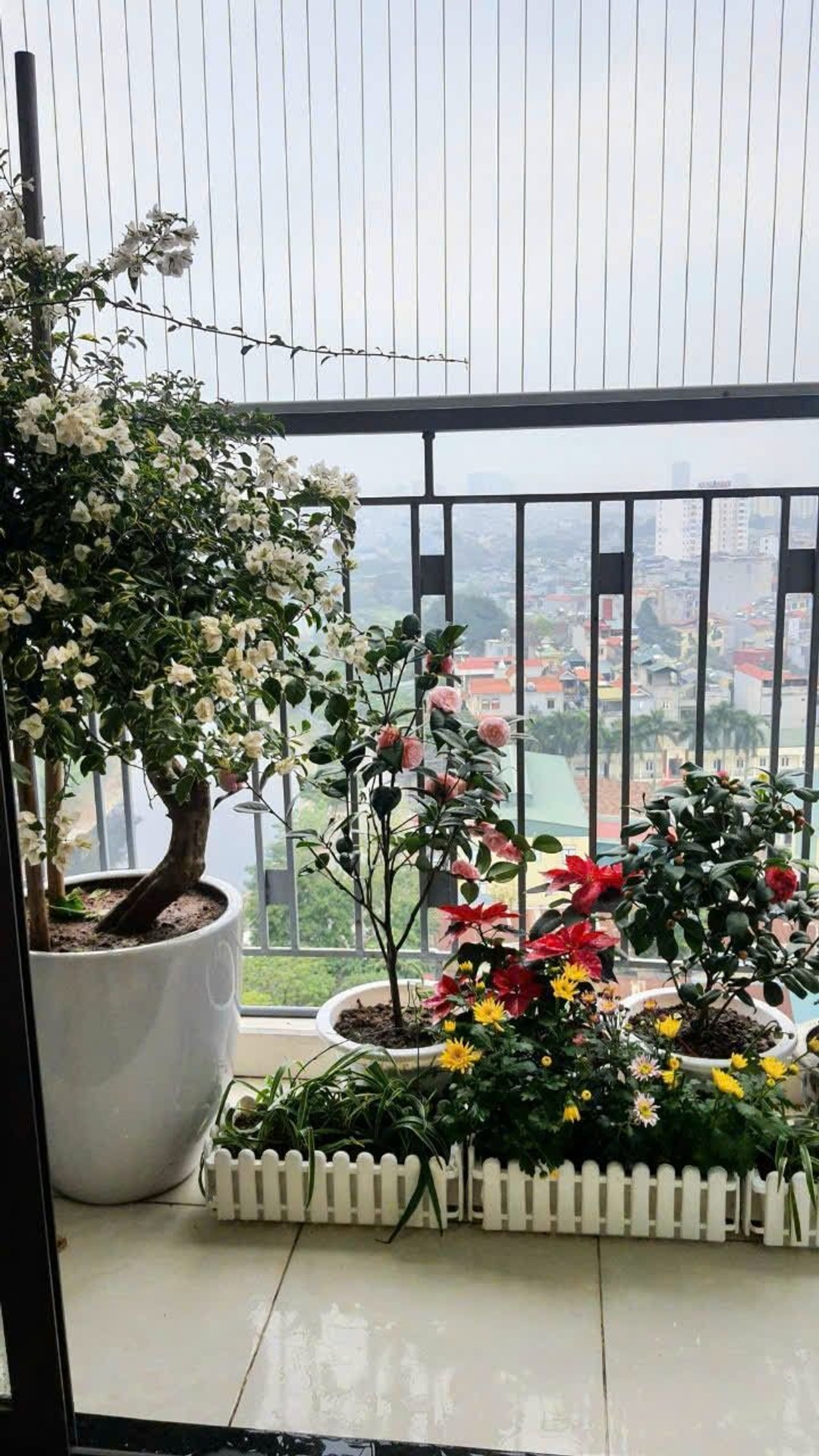Bán nhà Trần Hòa - diện tích 110m2 14 tầng - Căn hộ lô góc - giá 8,15 tỷ