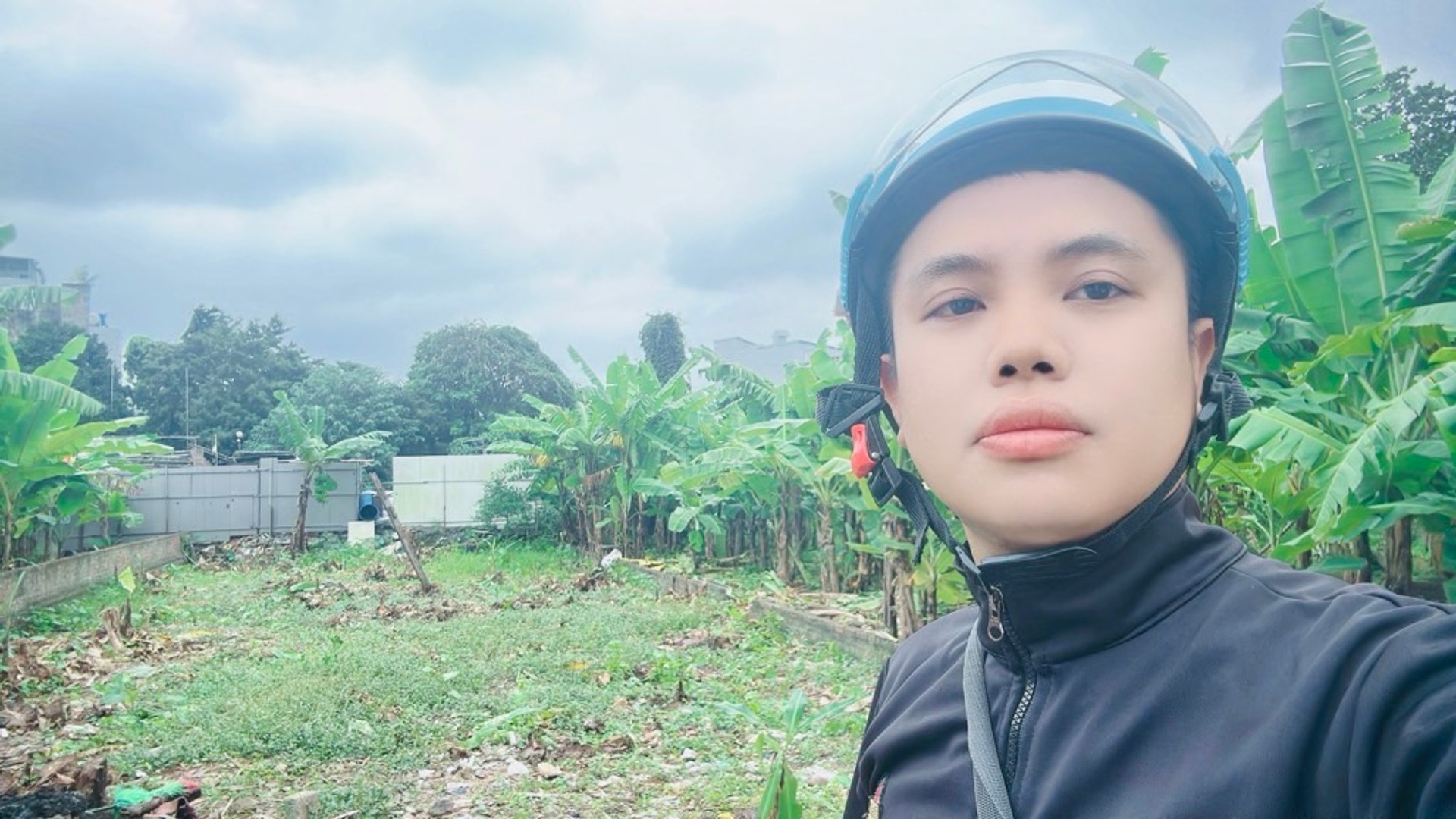 Ảnh đại diện