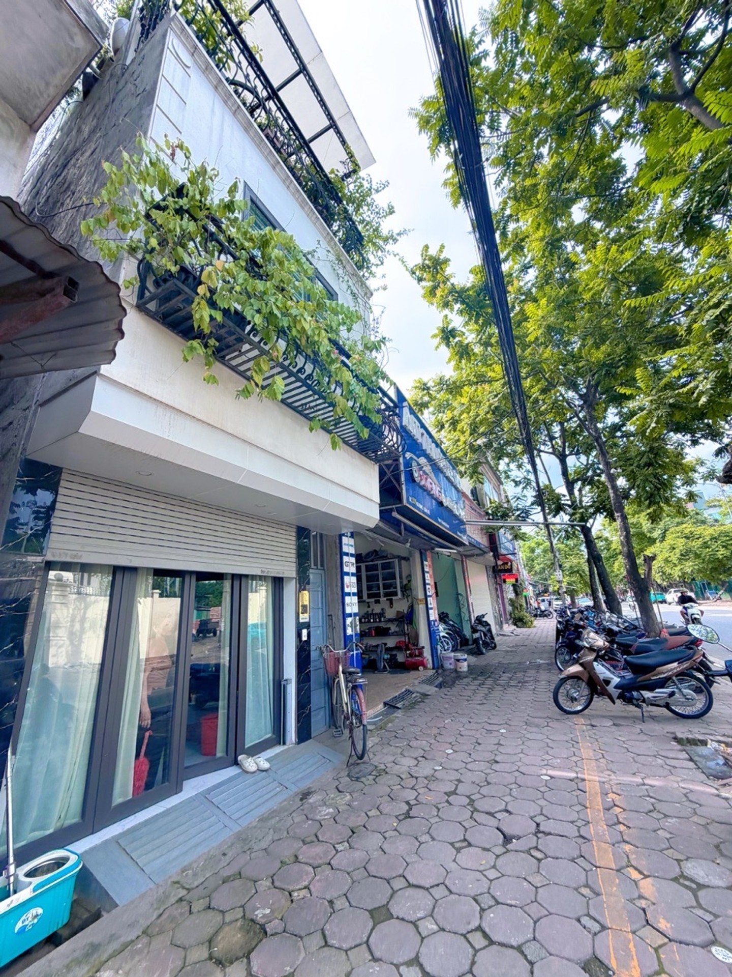 Ảnh đại diện