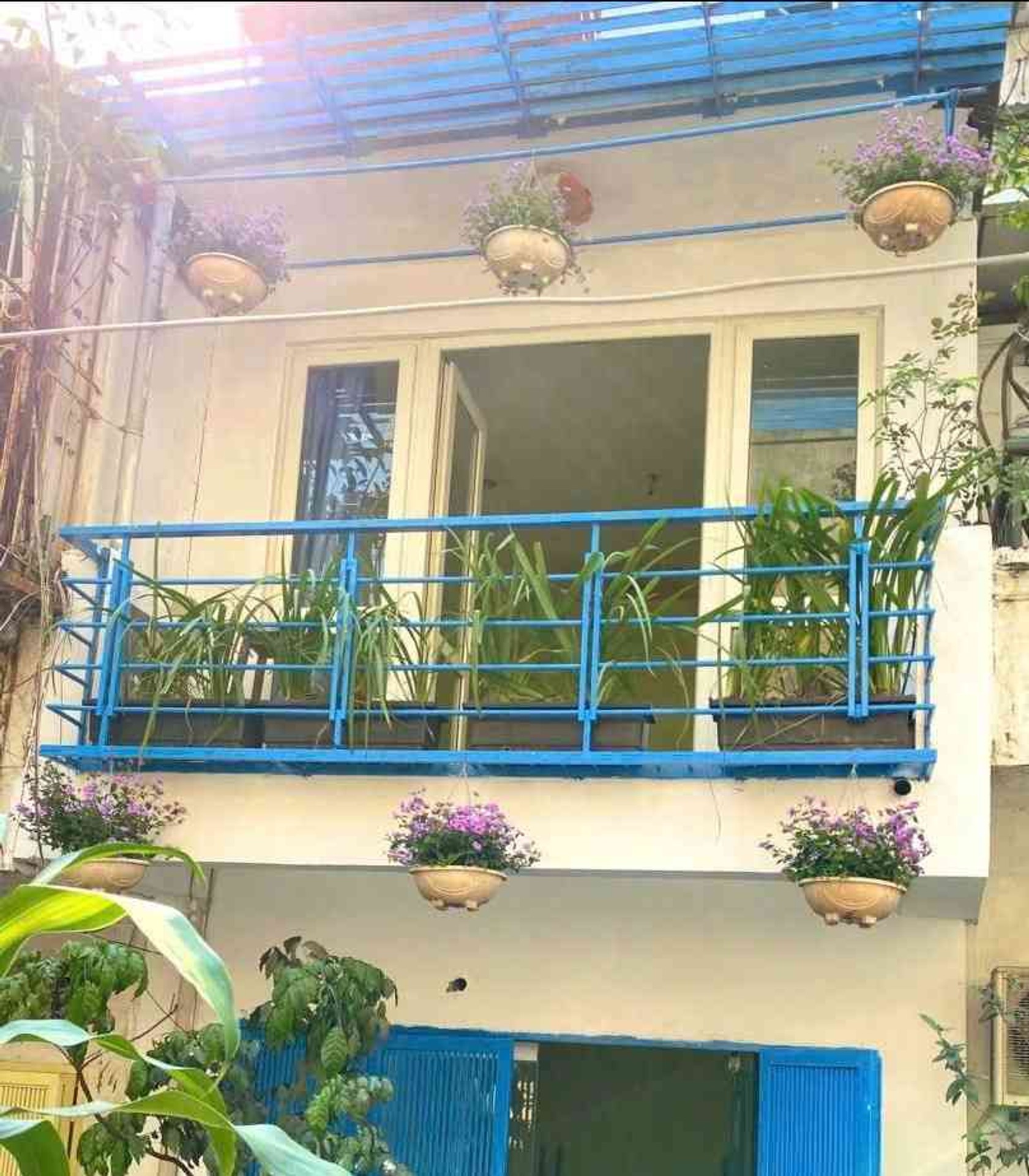 Ảnh đại diện