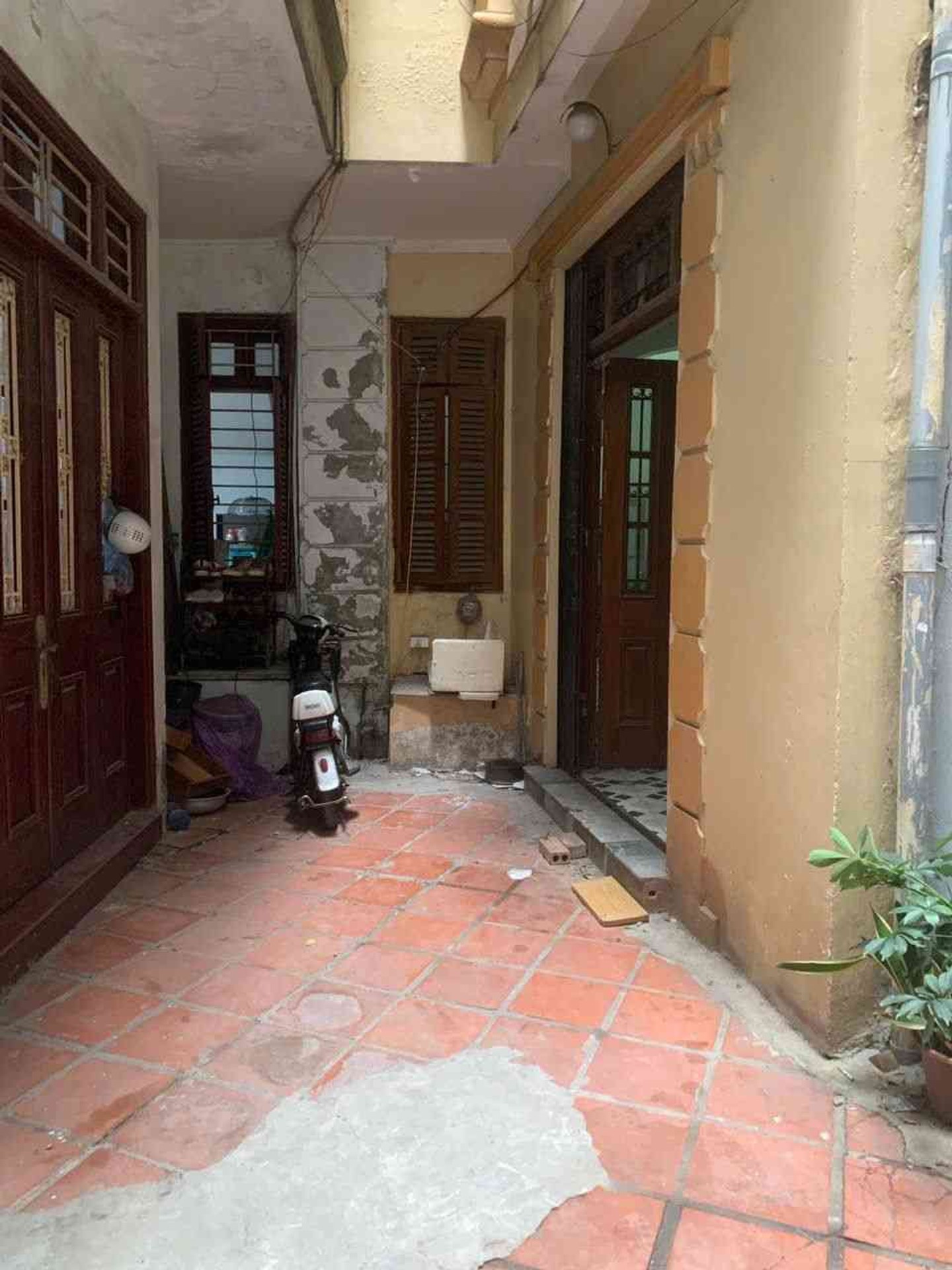 Ảnh đại diện