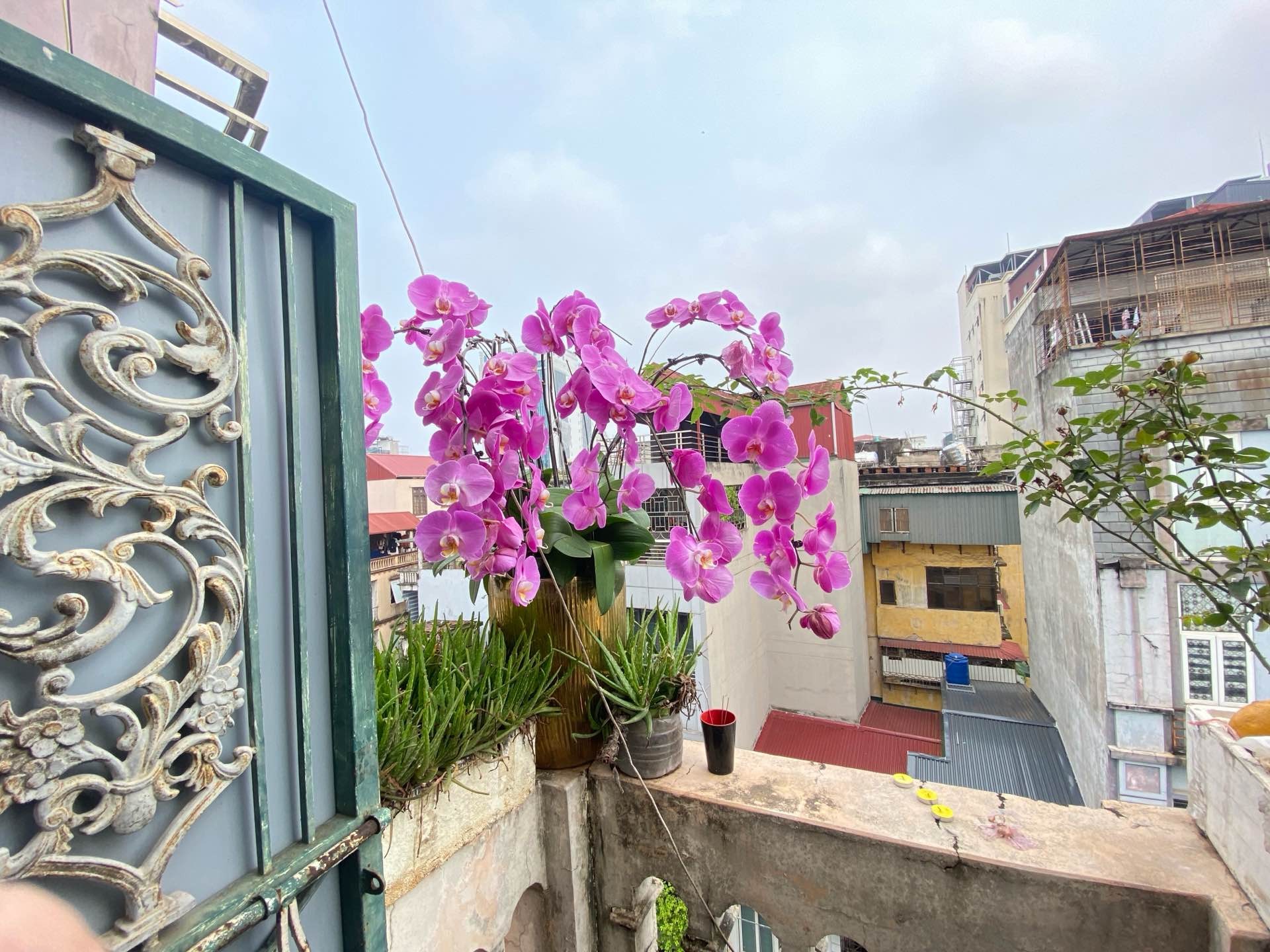 Bán nhà Đoàn Thị Điểm - diện tích 68.4m2 5 tầng - Mặt phố lớn, hiếm nhà bán - giá 43,9 tỷ