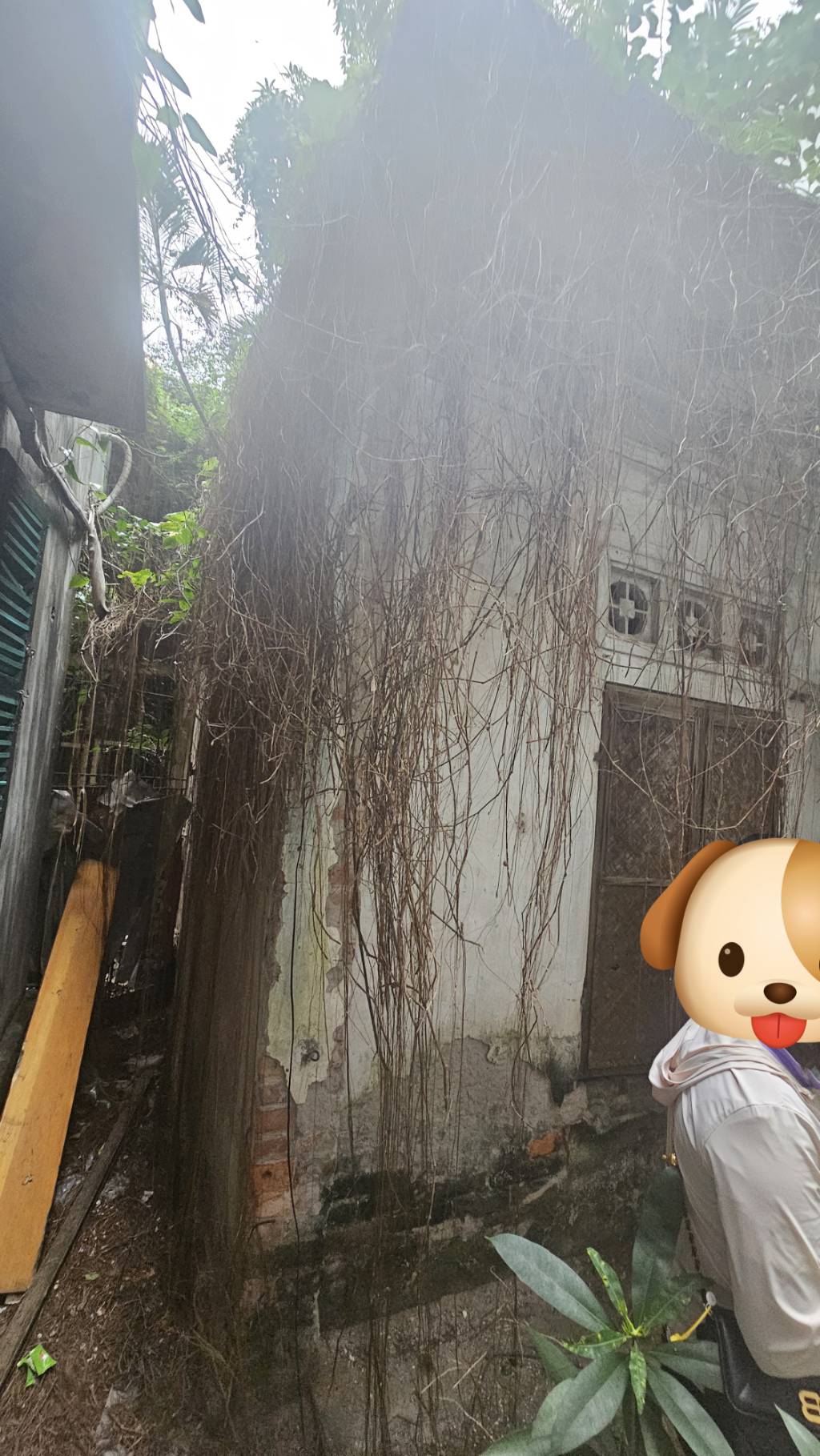 Bán nhà Tạ Quang Bửu - diện tích 60m2 3 tầng - Cách ô tô 20m - giá 12,5 tỷ
