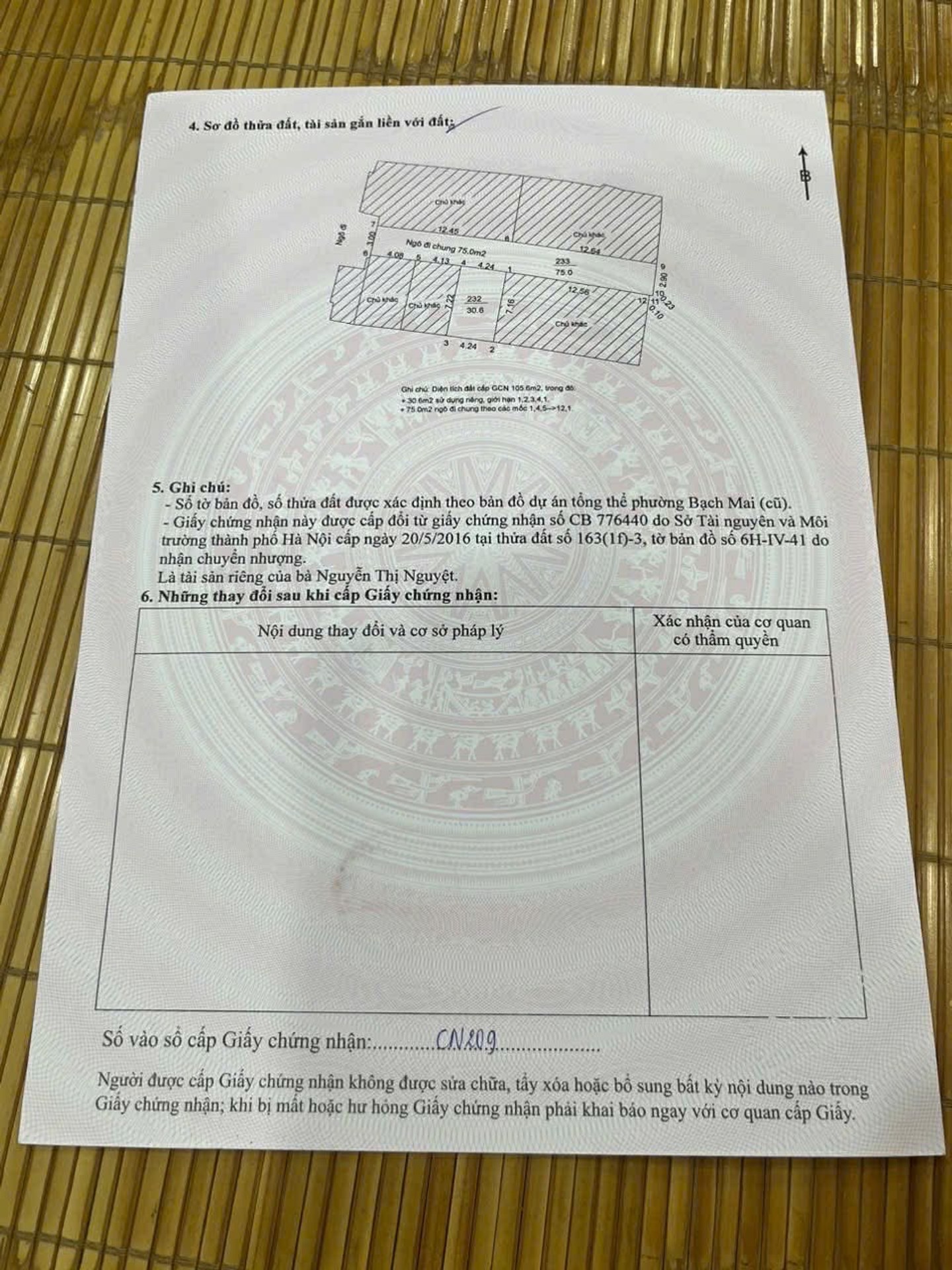 Ảnh đại diện