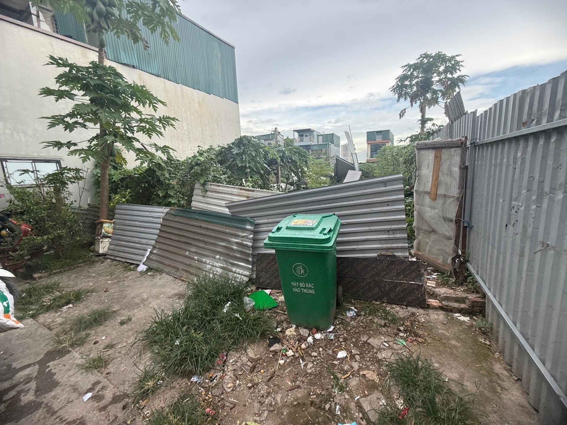 Ảnh đại diện