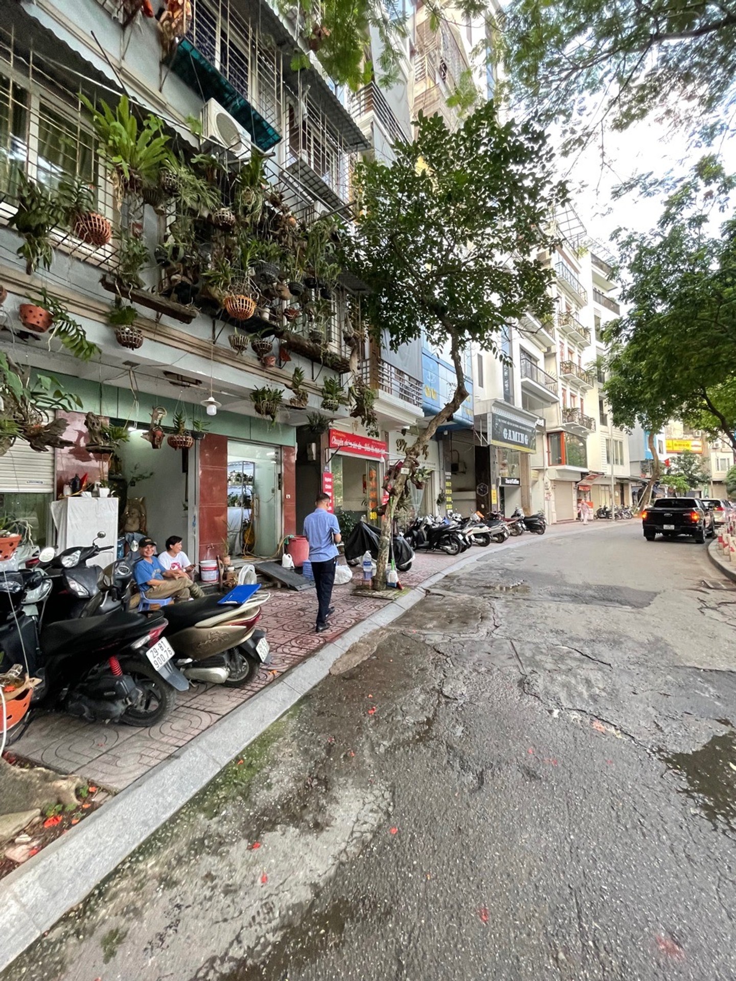 Ảnh đại diện