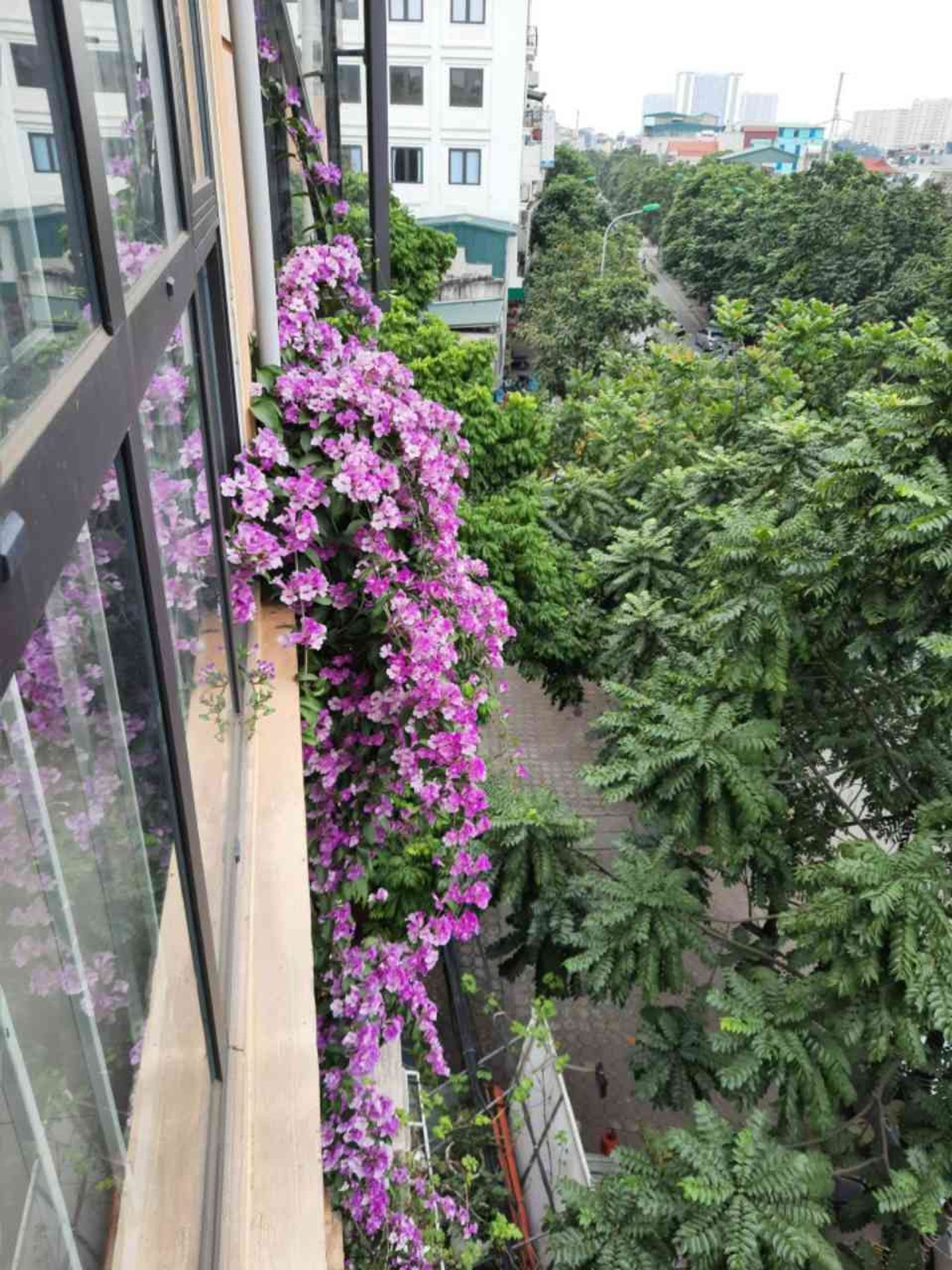 Bán nhà Dương Văn Bé - diện tích 45m2 5 tầng - Mặt phố kinh doanh sầm uất - giá 22 tỷ