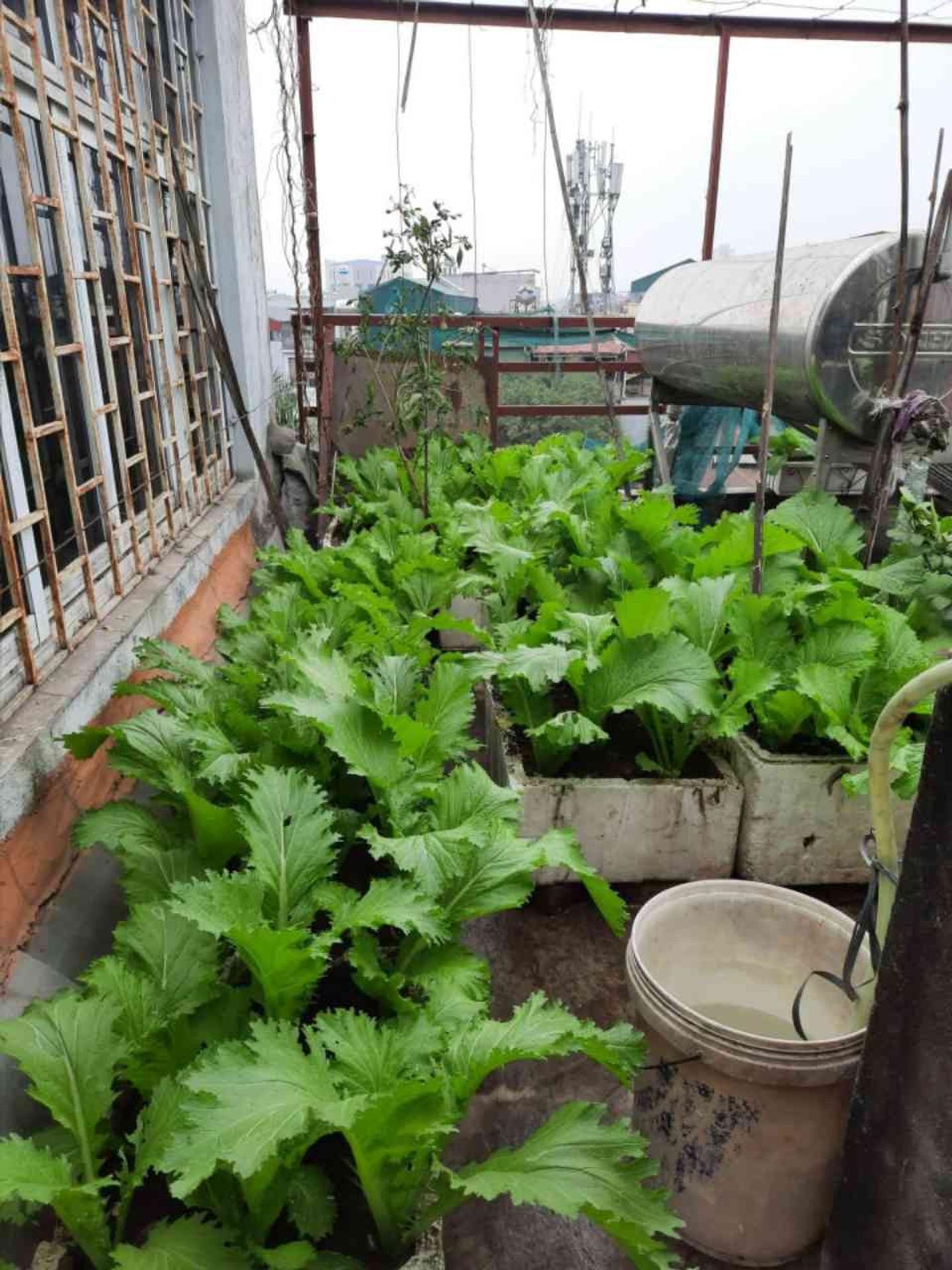 Bán nhà Dương Văn Bé - diện tích 45m2 5 tầng - Mặt phố kinh doanh sầm uất - giá 22 tỷ