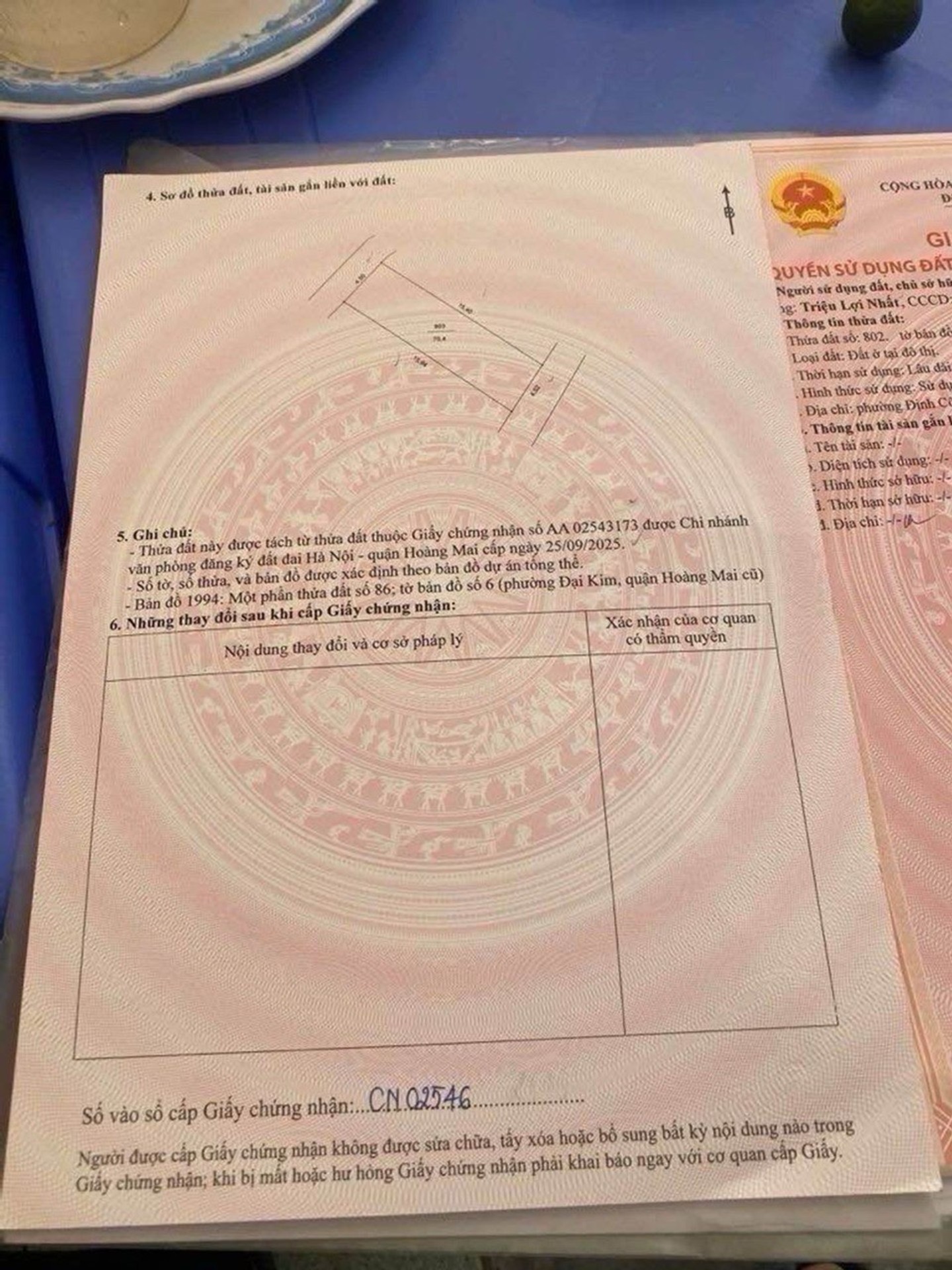 Ảnh đại diện