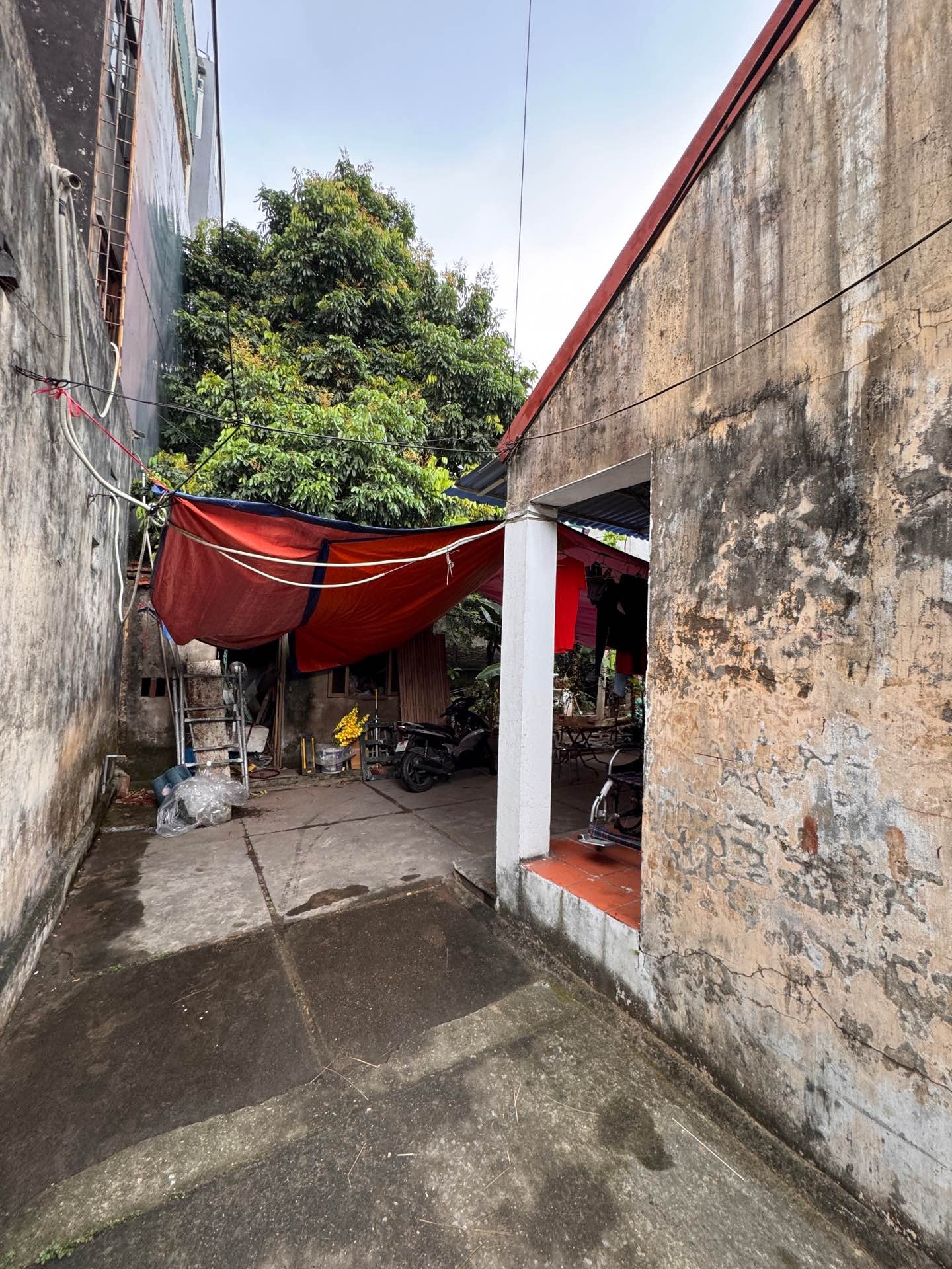 Bán nhà Lĩnh Nam - diện tích 566m2 2 tầng - Mặt tiền siêu rộng - giá 135 tỷ