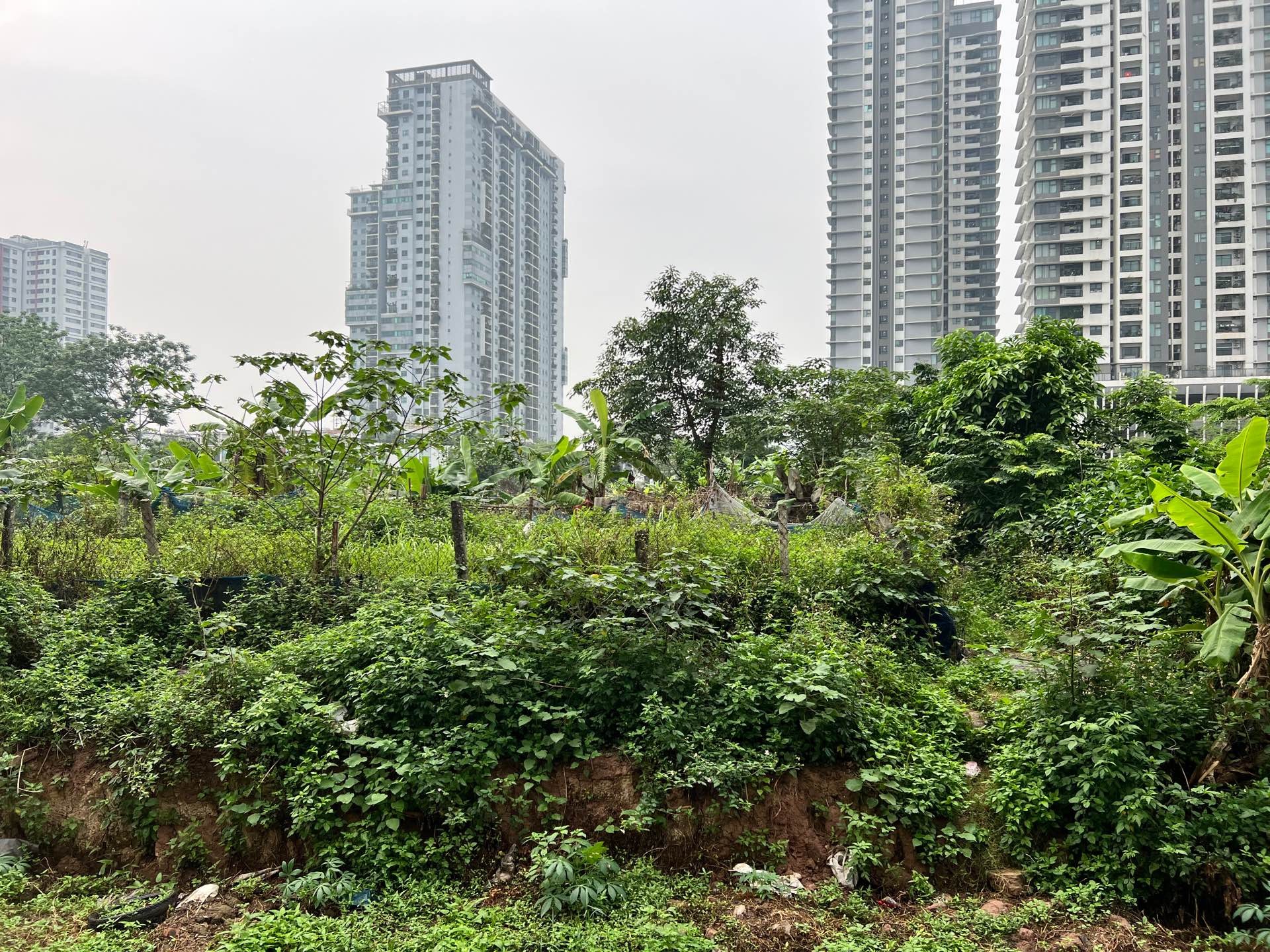 Bán nhà Hoàng Mai - diện tích 216m2 0 tầng - Đất nông nghiệp 20 năm - giá 6 tỷ