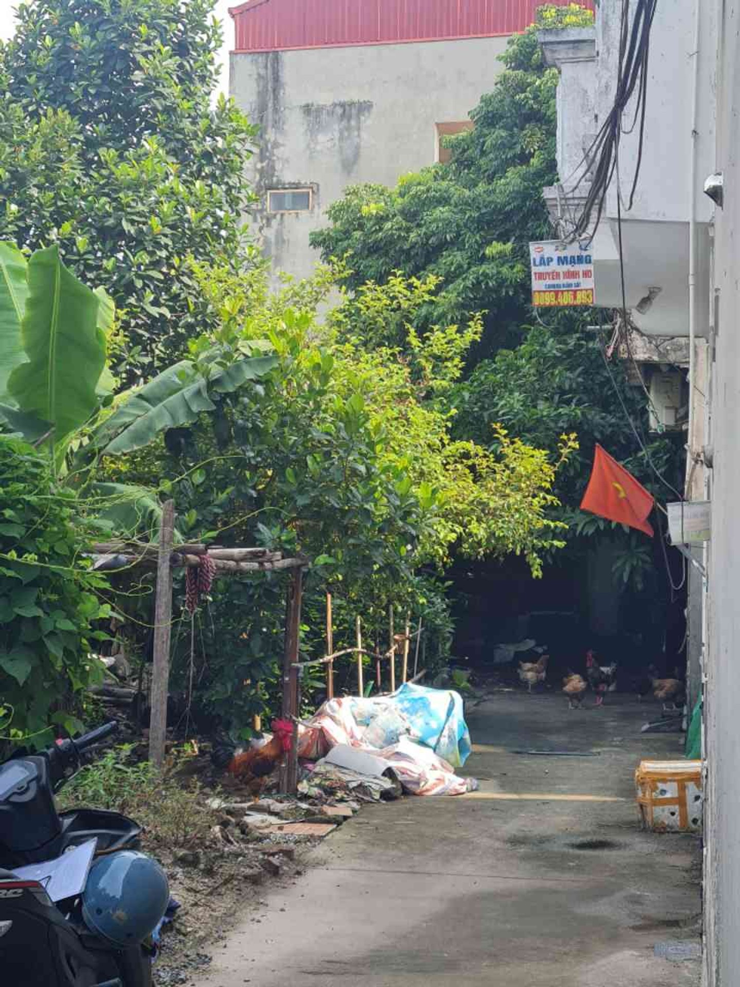 Ảnh đại diện