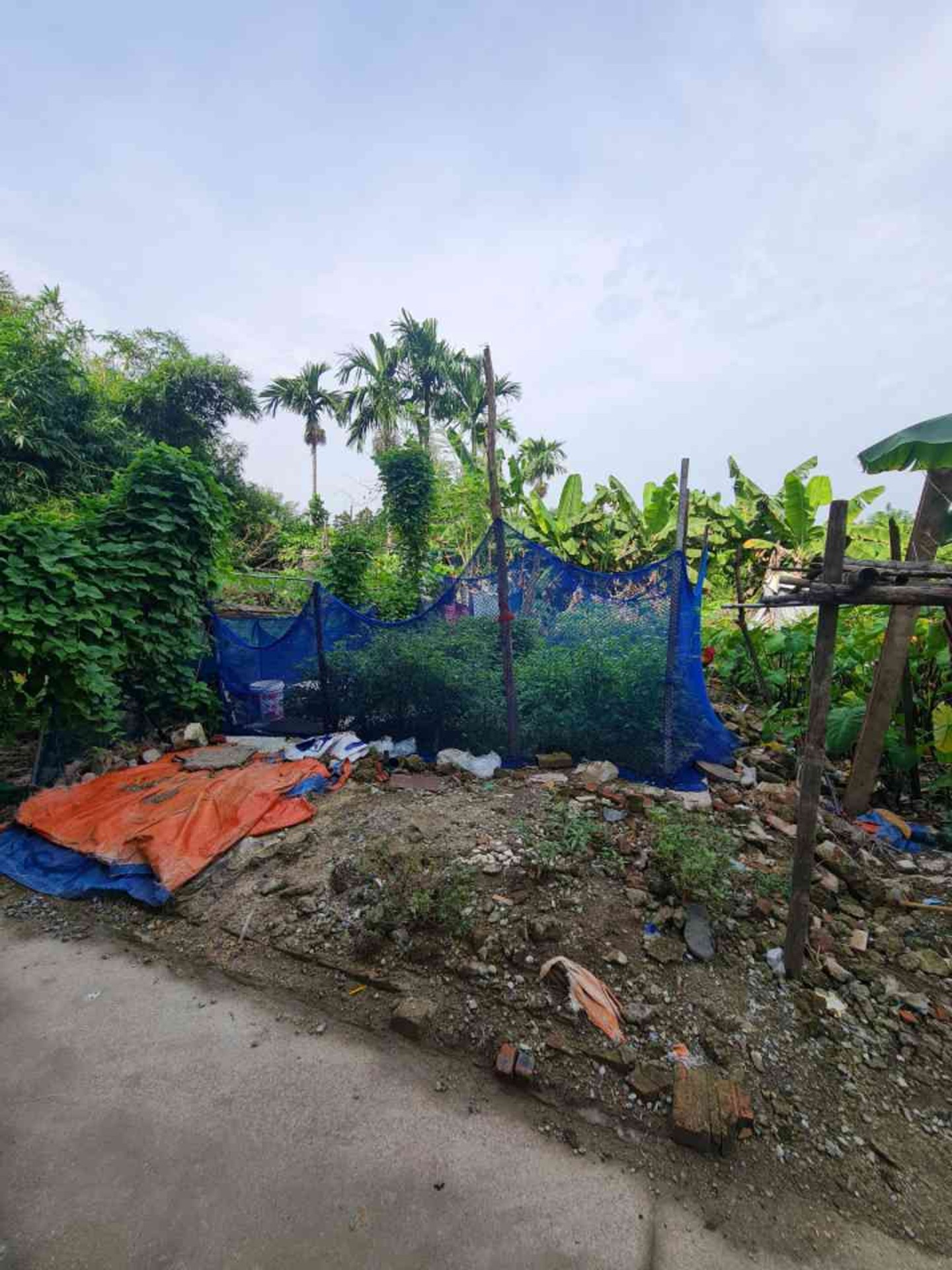 Bán nhà Hưng Phúc - diện tích 46m2 1 tầng - Đất tặng móng xây nhà - giá 1,25 tỷ