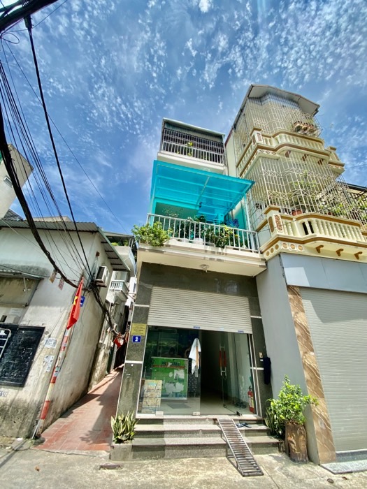 Ảnh đại diện