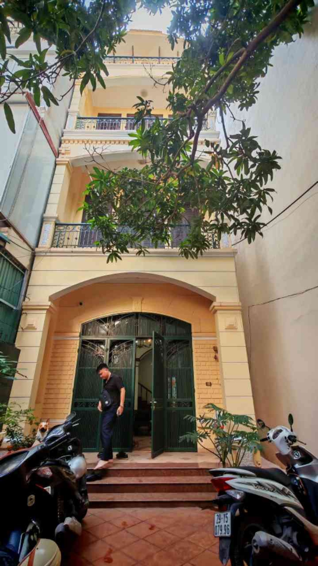 Ảnh đại diện