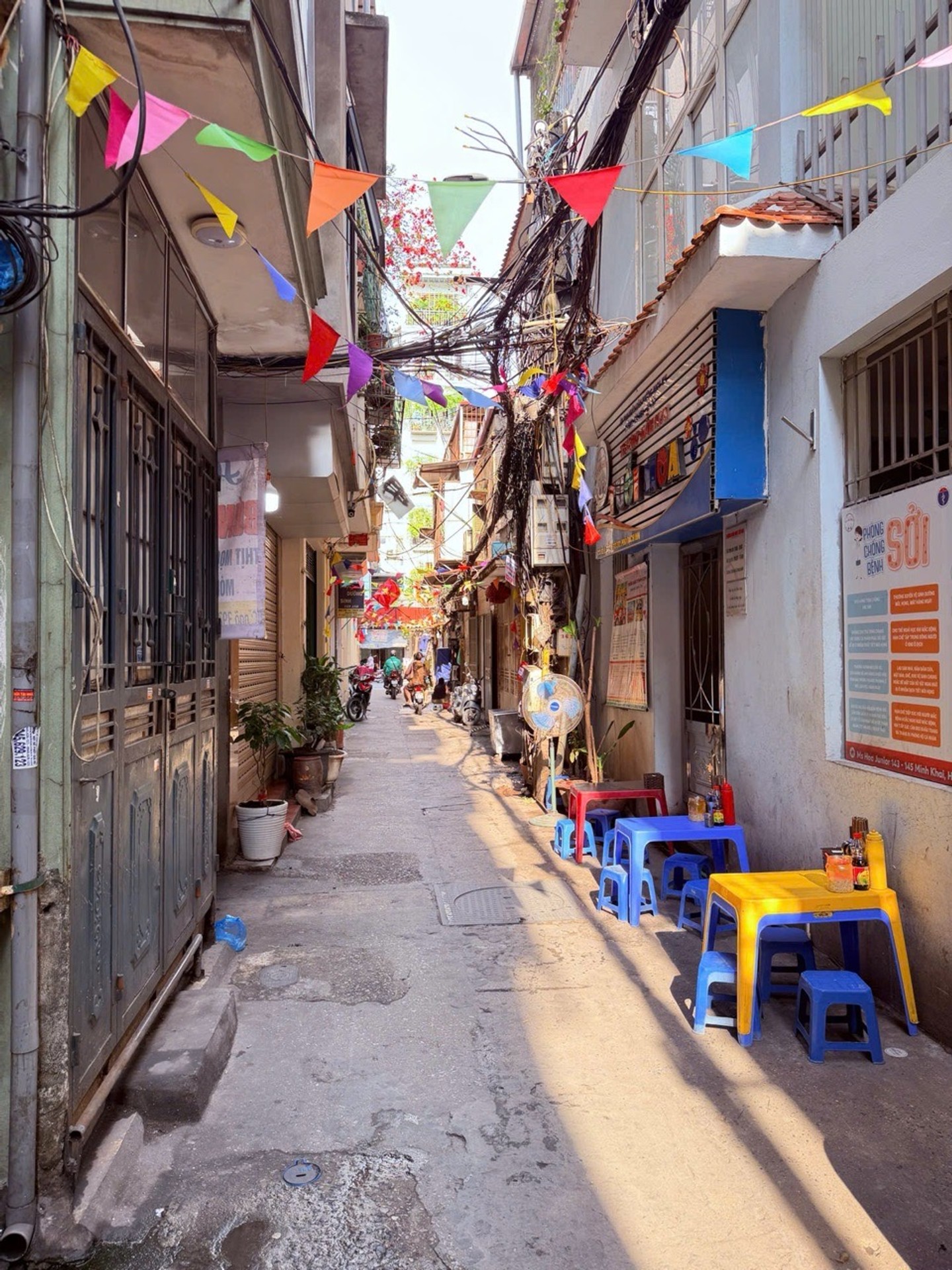 Ảnh đại diện