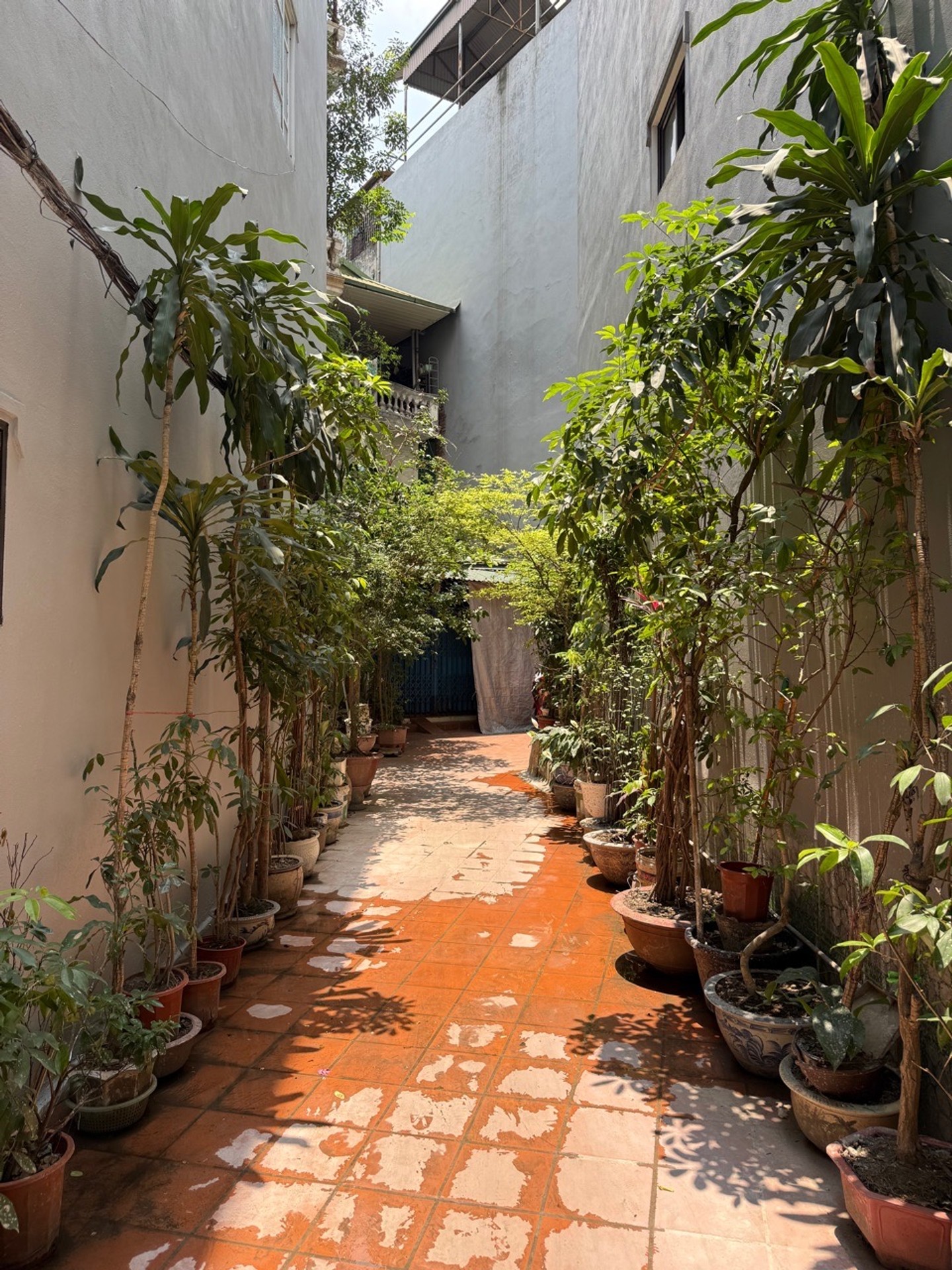 Bán nhà Vương Thừa Vũ - diện tích 50m2 5 tầng - Mảnh đất vàng phân lô quân đội - giá 14 tỷ