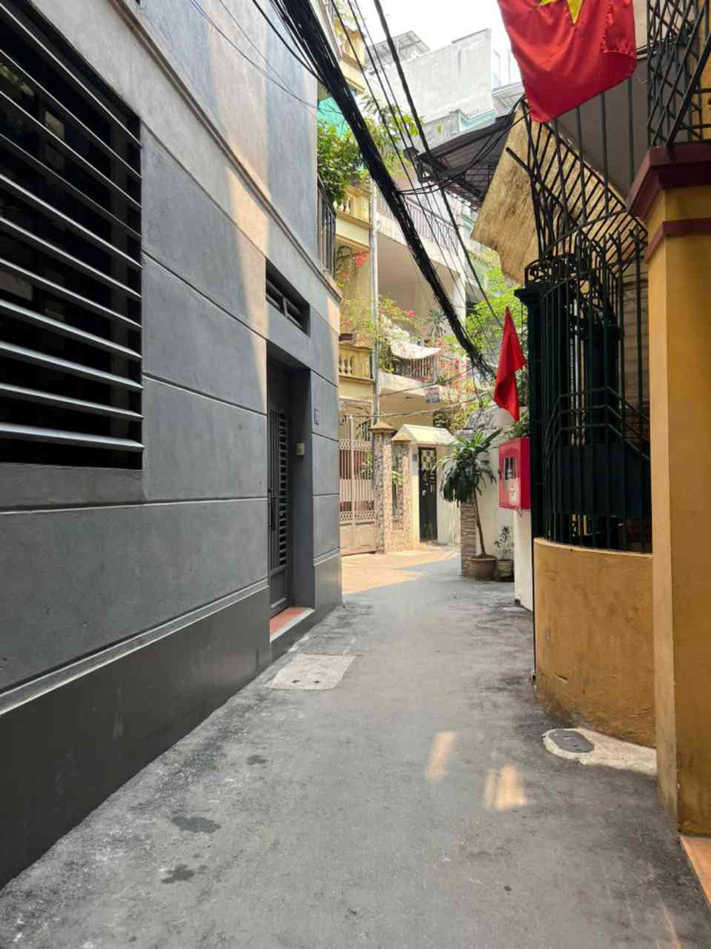 Ảnh đại diện