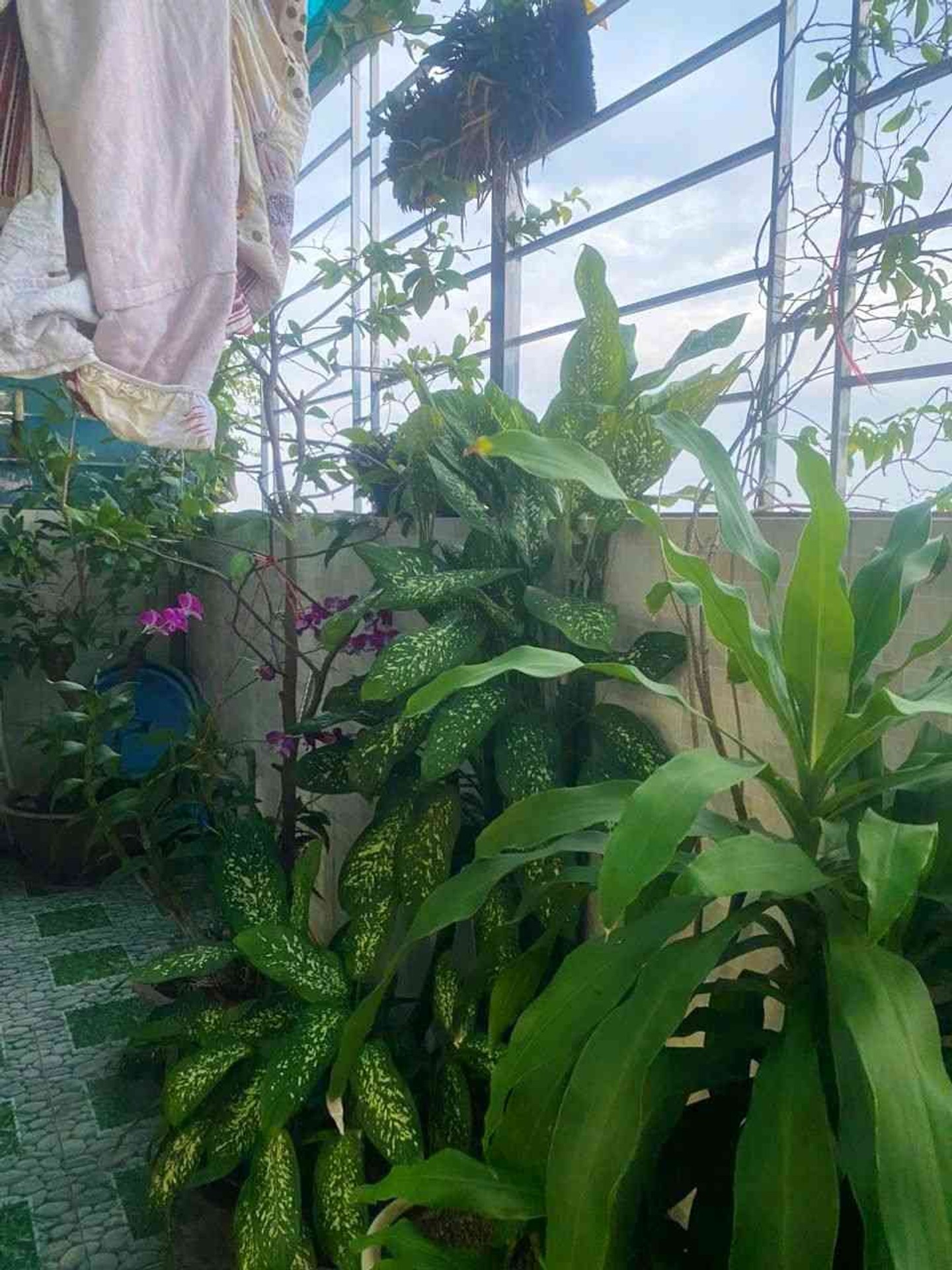 Bán nhà Khu đô thị Kim Văn - Kim Lũ - diện tích 50m2 45 tầng - Căn hộ chung cư đẹp - giá 4,1 tỷ
