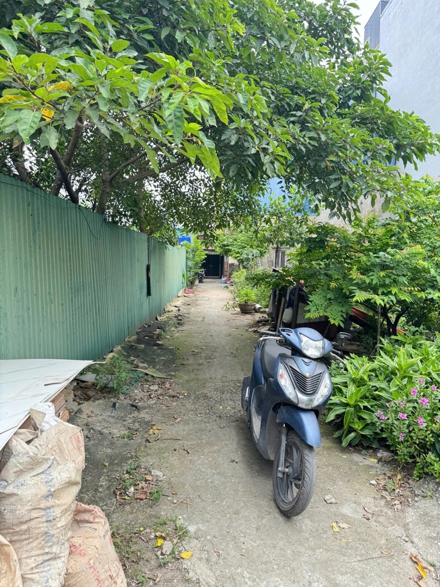 Ảnh đại diện