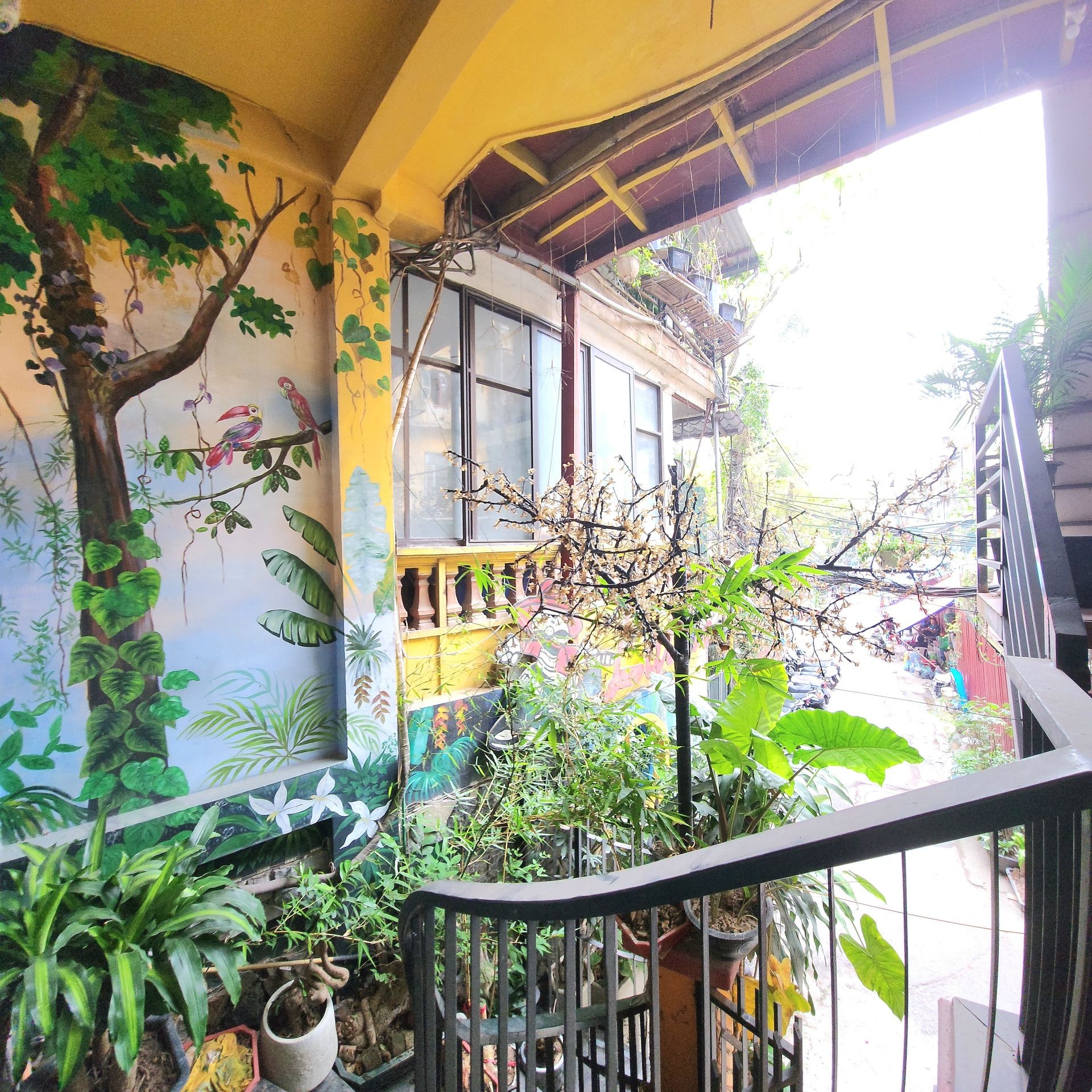 Bán nhà Núi Trúc - diện tích 209m2 5 tầng - Ô tô vòng quanh - giá 104 tỷ