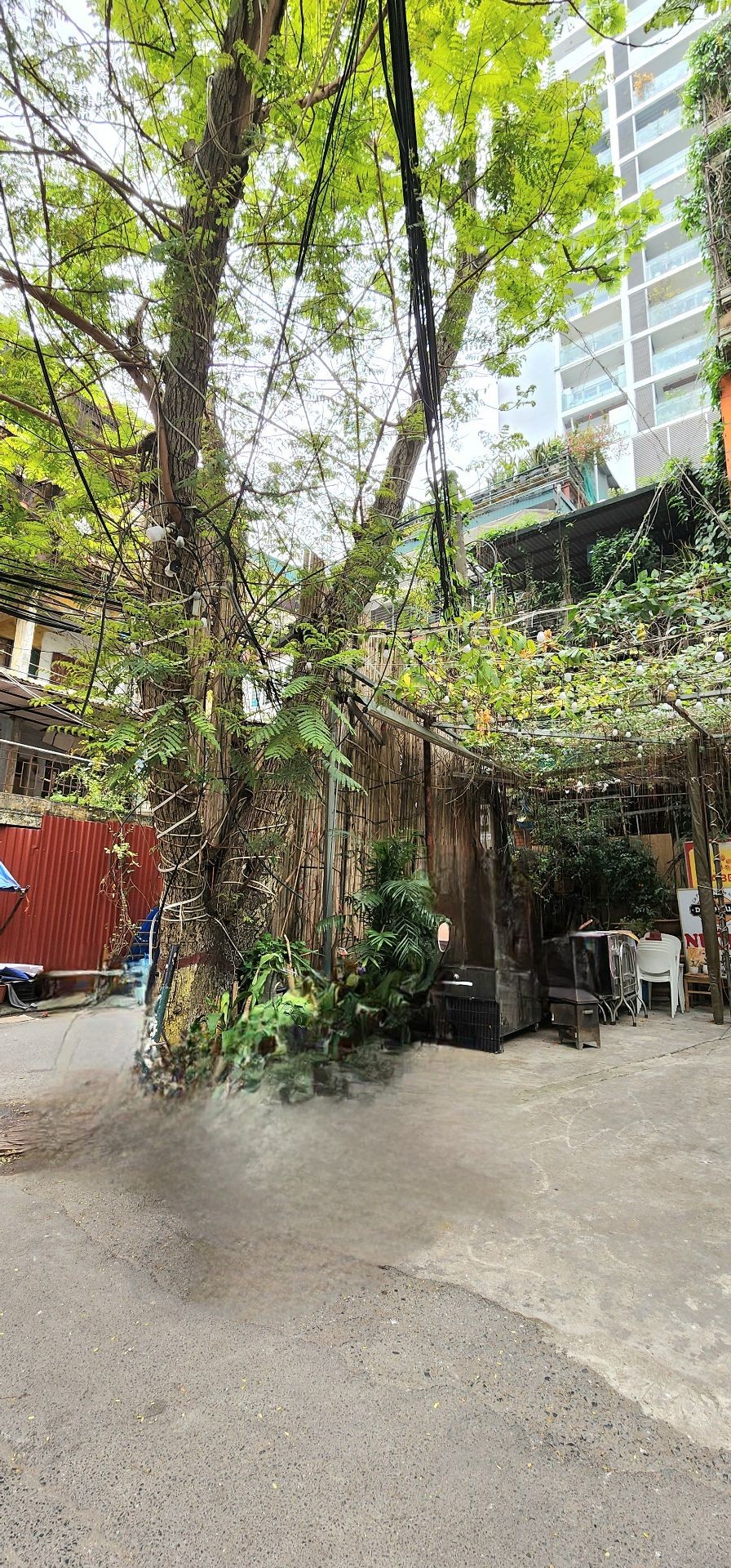 Bán nhà Núi Trúc - diện tích 209m2 5 tầng - Ô tô vòng quanh - giá 104 tỷ