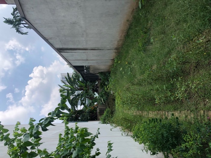 Bán nhà Tam Trinh - diện tích 112m2 5 tầng - Ô TÔ - giá 19,5 tỷ