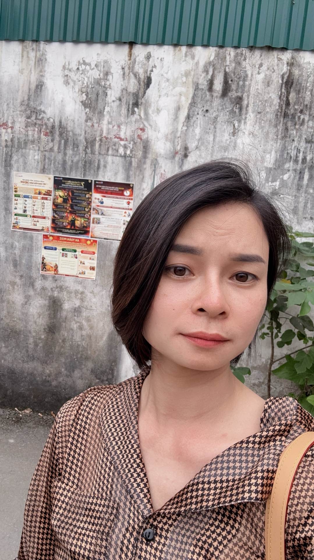 Bán nhà Đại Linh - diện tích 186m2 1 tầng - Lô góc 3 mặt thoáng - giá 60 tỷ