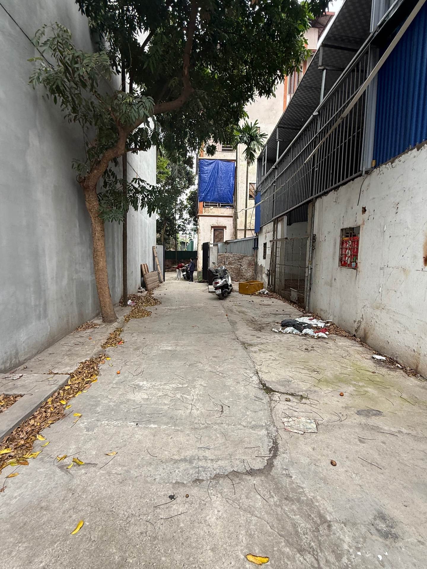 Bán nhà Đại Linh - diện tích 186m2 1 tầng - Lô góc 3 mặt thoáng - giá 60 tỷ