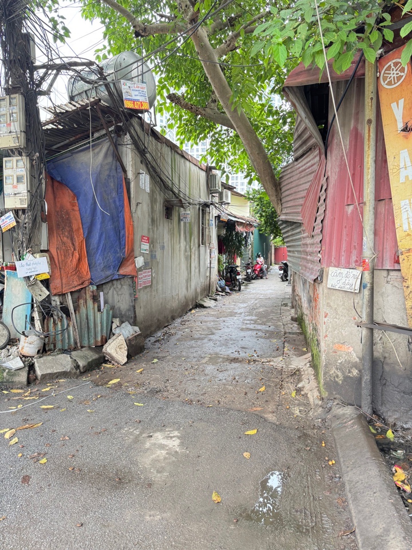 Bán nhà Dương Văn Bé - diện tích 90m2 0 tầng - nhà cấp 4 cho thuê phòng trọ - giá 20 tỷ