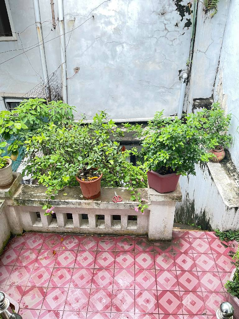 Bán nhà Lê Duẩn - diện tích 45m2 3 tầng - Nhà mặt phố, vị trí kinh doanh cực đẹp - giá 26 tỷ