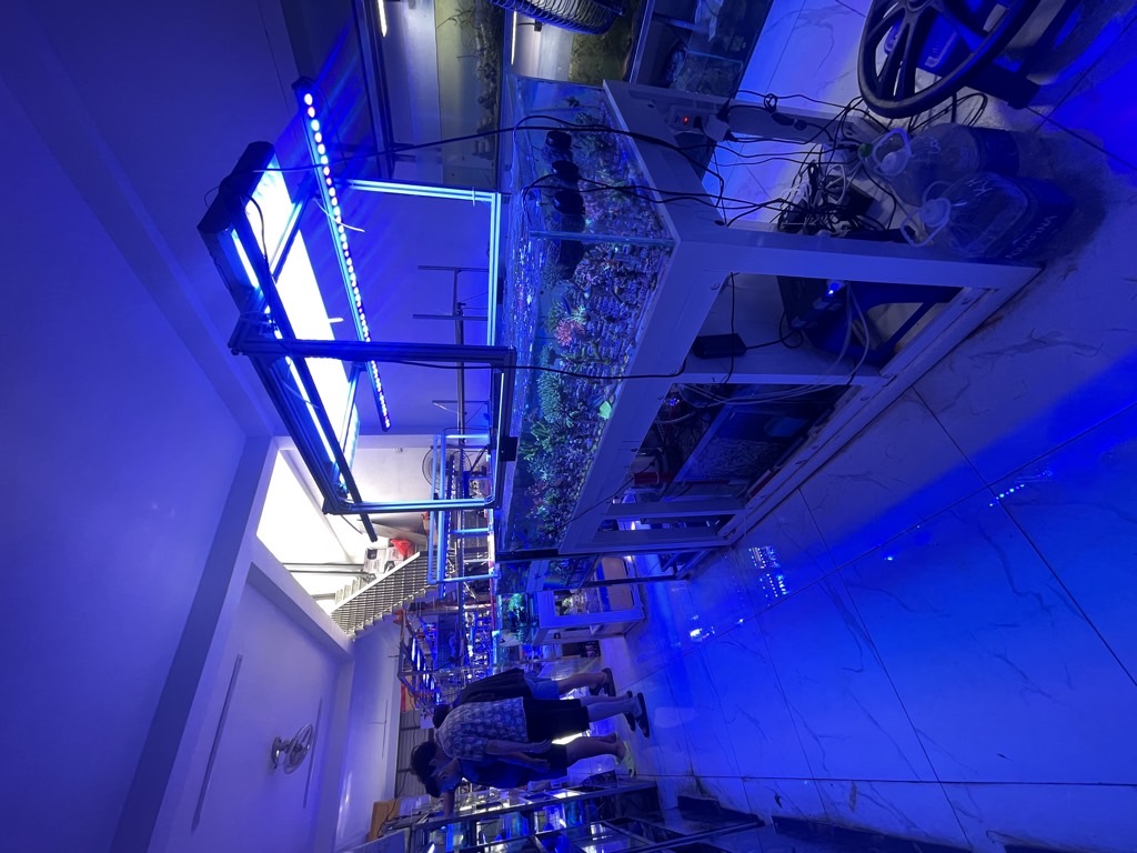 Bán nhà Trần Hoà - diện tích 68m2 2 tầng - MẶT PHỐ KINH DOANH BẤT CHẤP - giá 29 tỷ