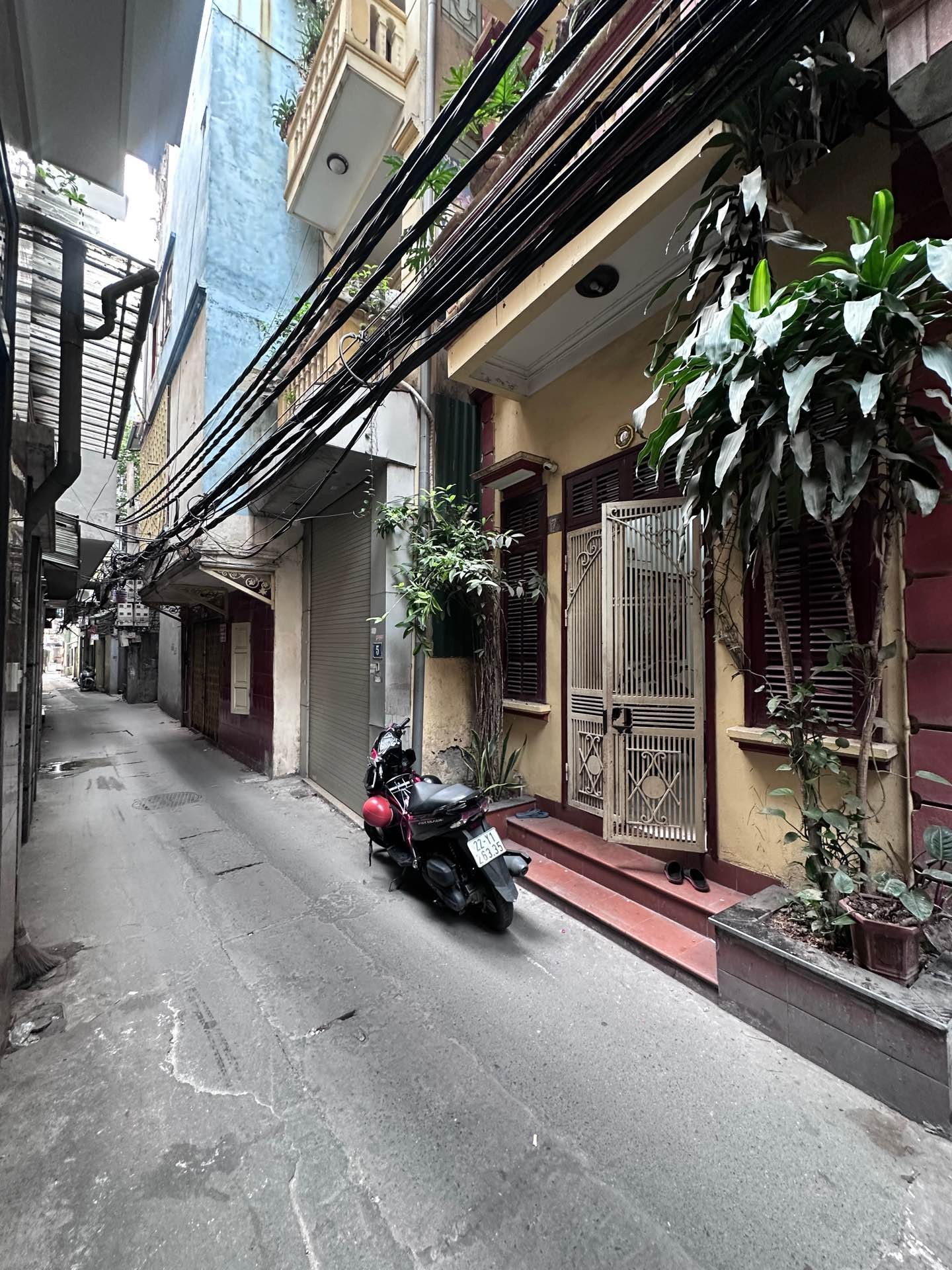 Ảnh đại diện