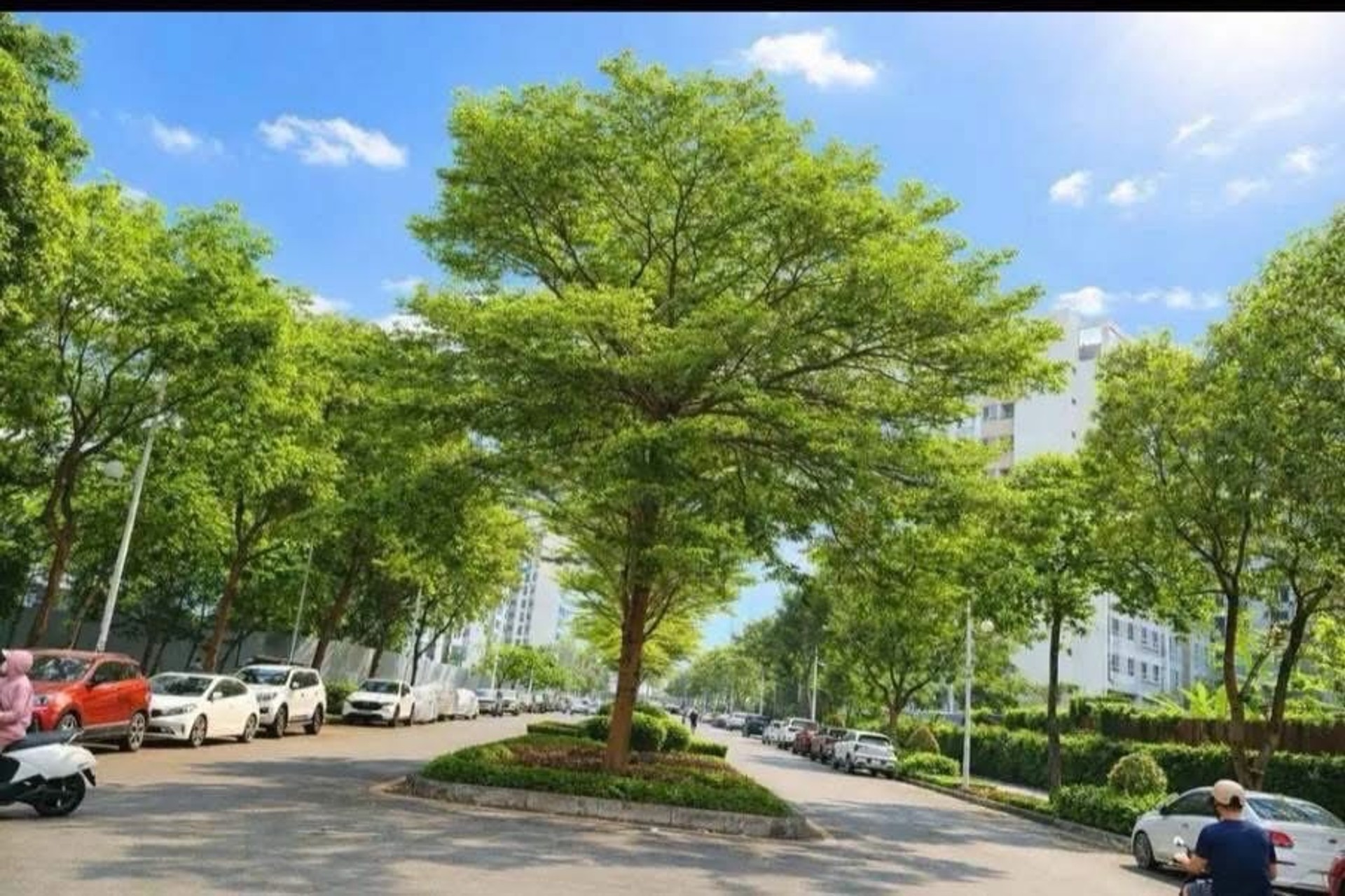 Bán nhà Hồng Hà - diện tích 55m2 18 tầng - vị trí đẹp, pháp lý rõ ràng - giá 3,95 tỷ