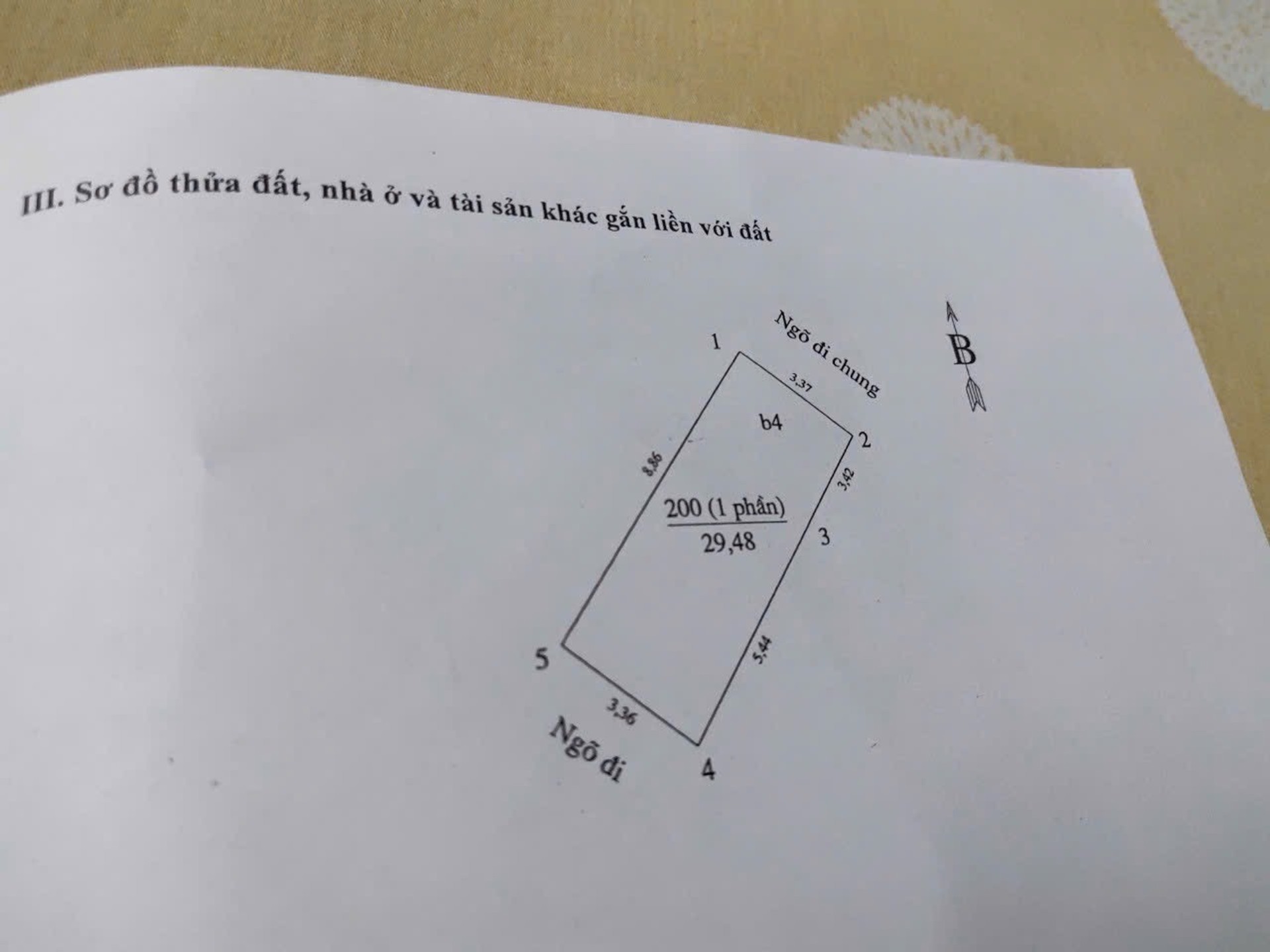 Ảnh đại diện