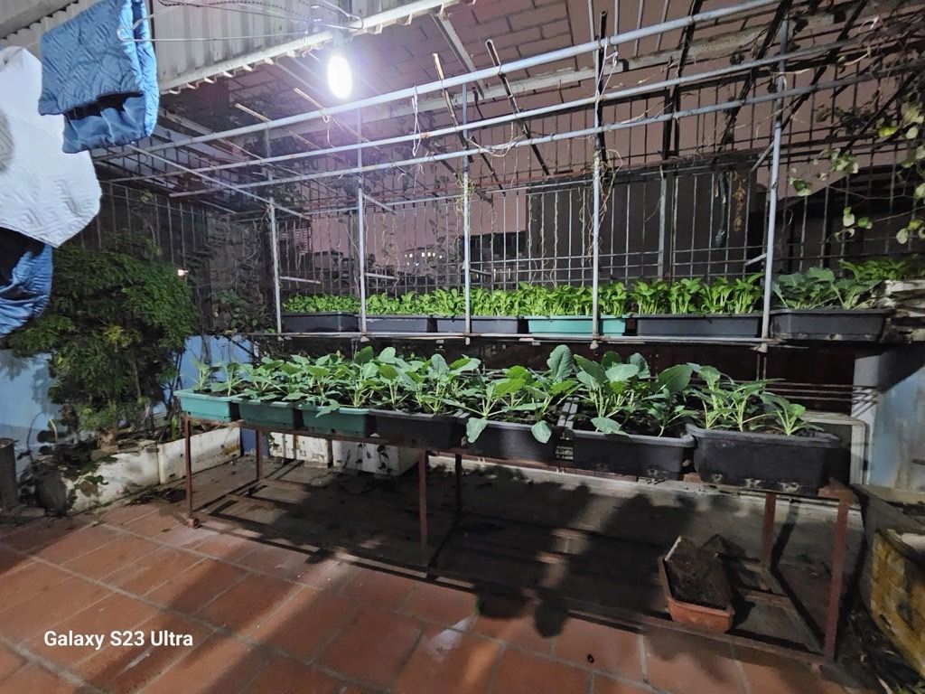 Bán nhà Trần Quang Diệu - diện tích 60m2 4 tầng - Ô TÔ TRÁNH - giá 25 tỷ