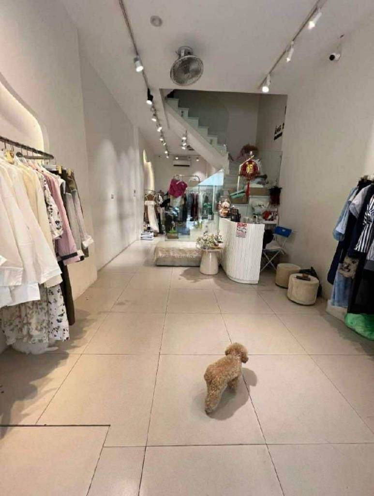 Bán nhà Nguyễn Hy Quang - diện tích 44m2 6 tầng - Mặt phố VIP - giá 35 tỷ