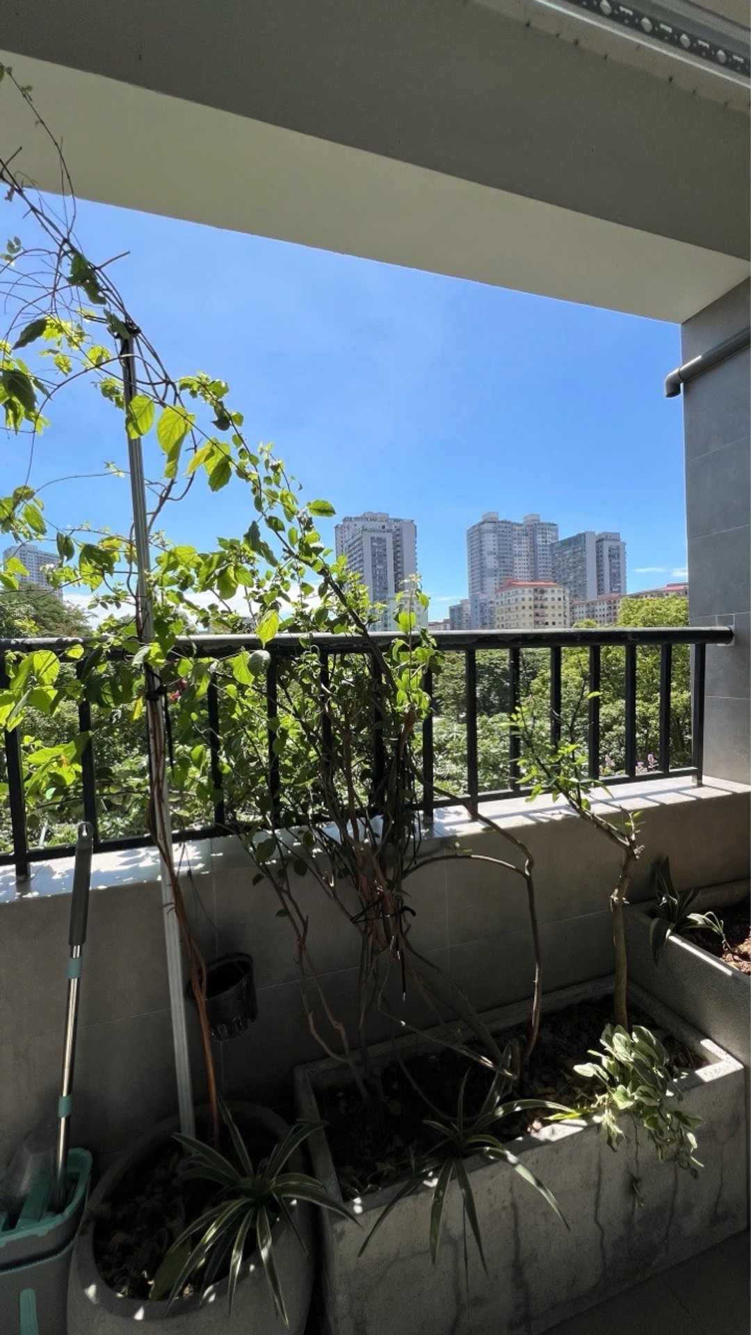 Bán nhà Linh Đường - diện tích 76m2 1 tầng - Ô tô đỗ sảnh - giá 4,58 tỷ