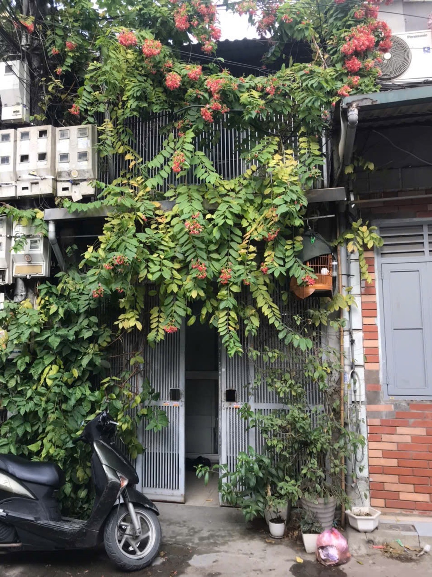 Ảnh đại diện