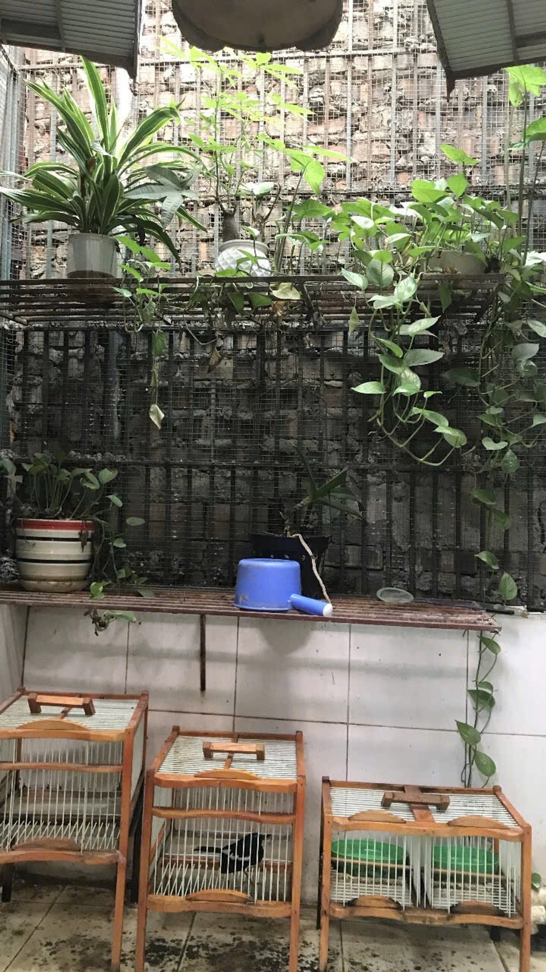 Bán nhà Định Công Thượng - diện tích 30m2 2 tầng - Ô TÔ TRÁNH - giá 2,8 tỷ